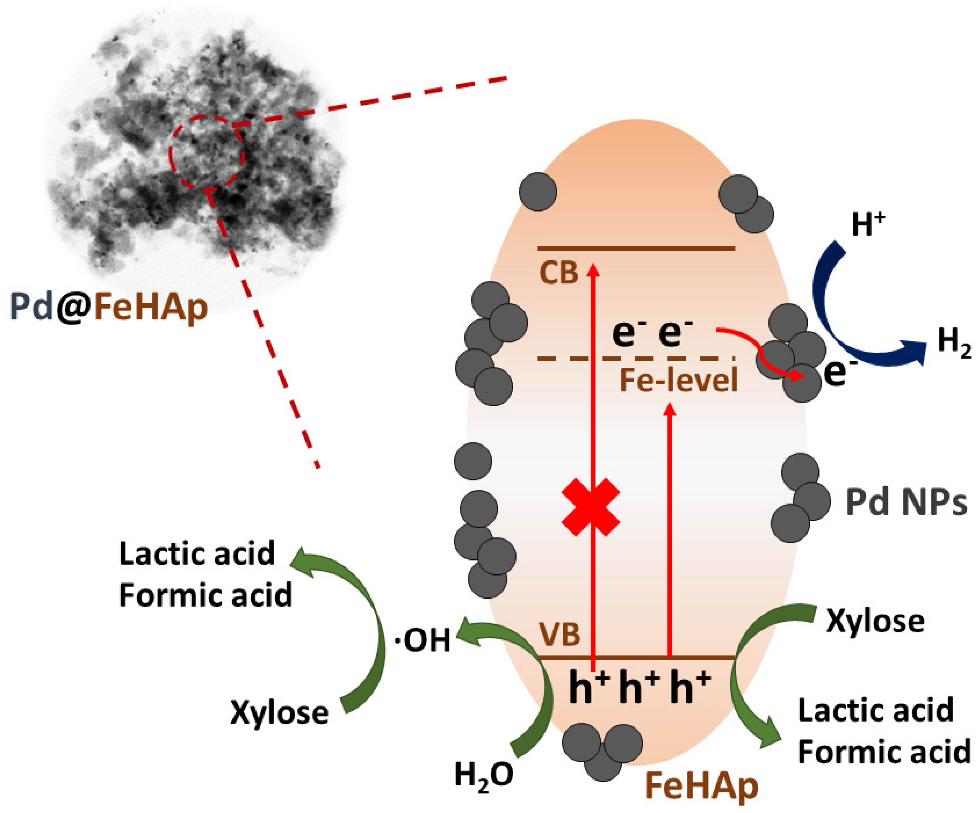 Catalysts 13 00675 sch001