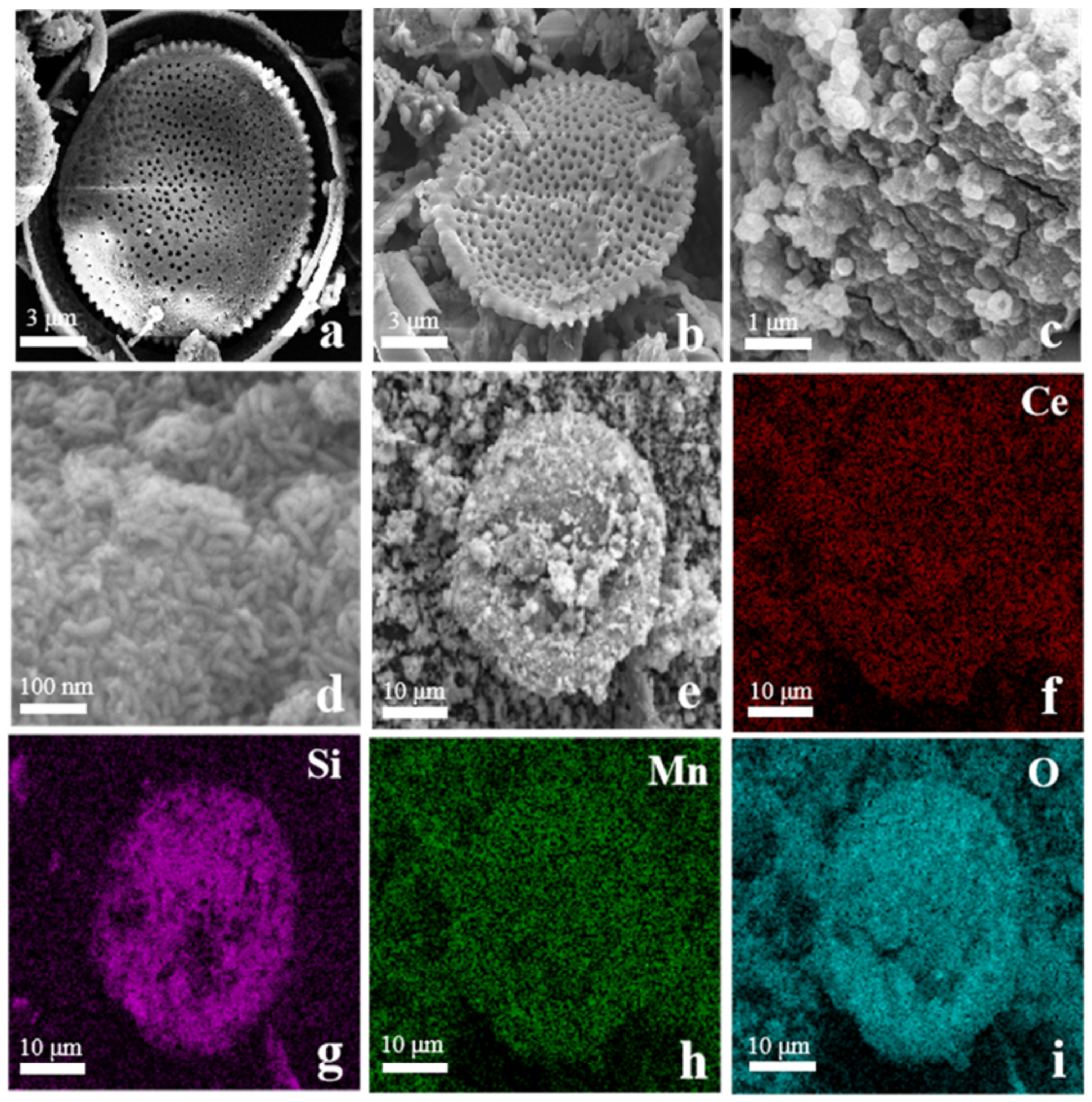 Catalysts 13 00676 g002 Catalysts 13 00676 g002