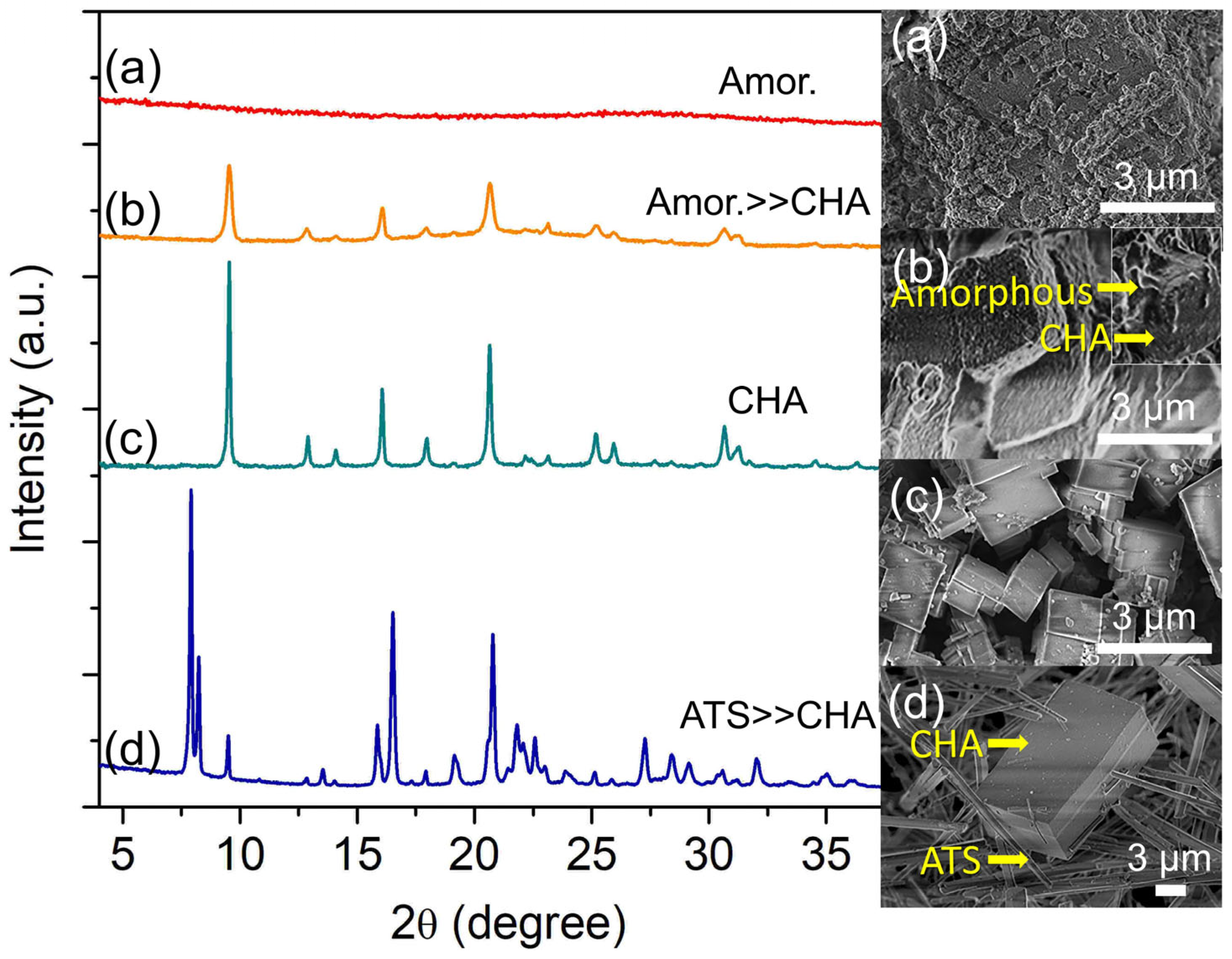 Catalysts 13 00680 g001 Catalysts 13 00680 g001