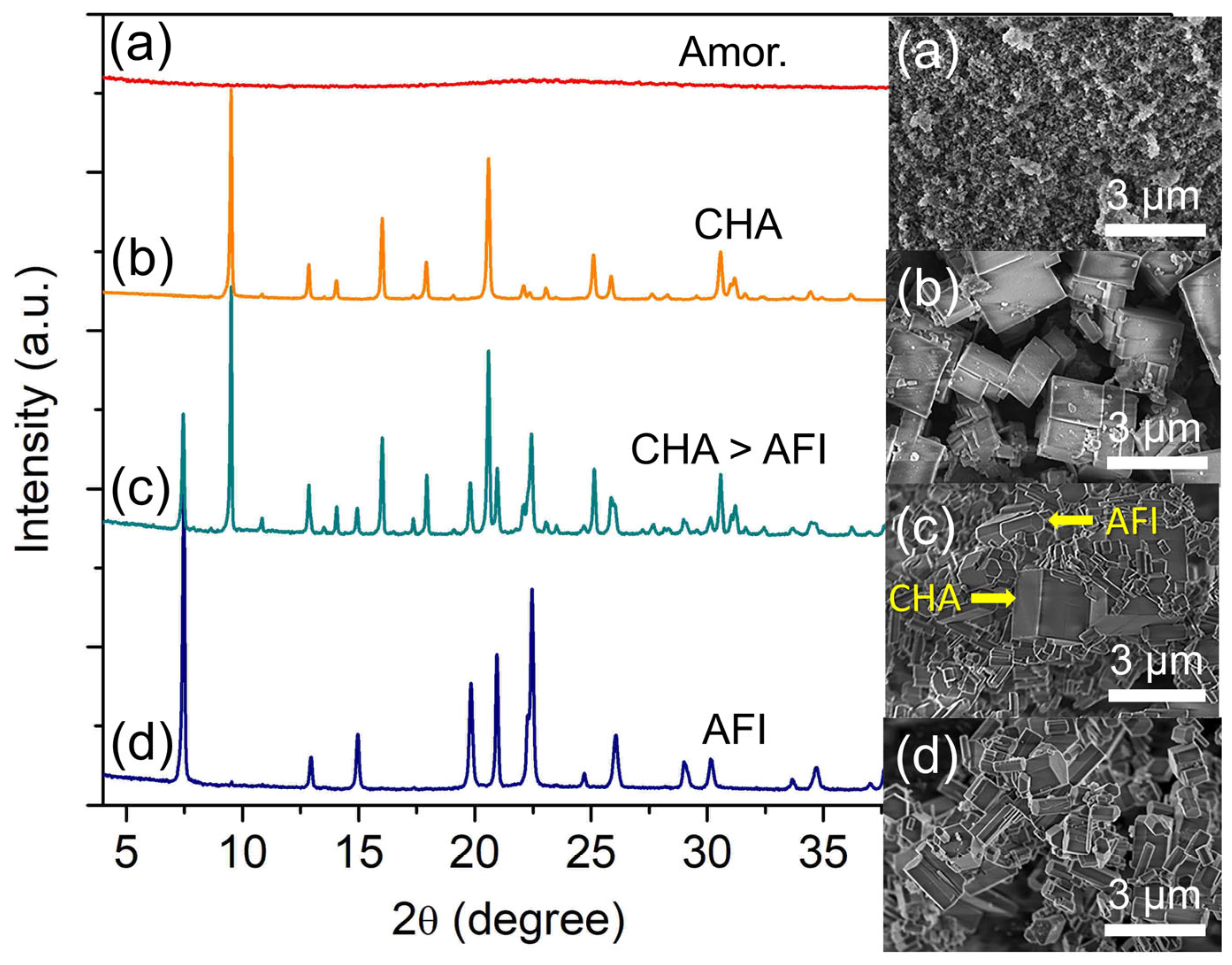 Catalysts 13 00680 g002 Catalysts 13 00680 g002