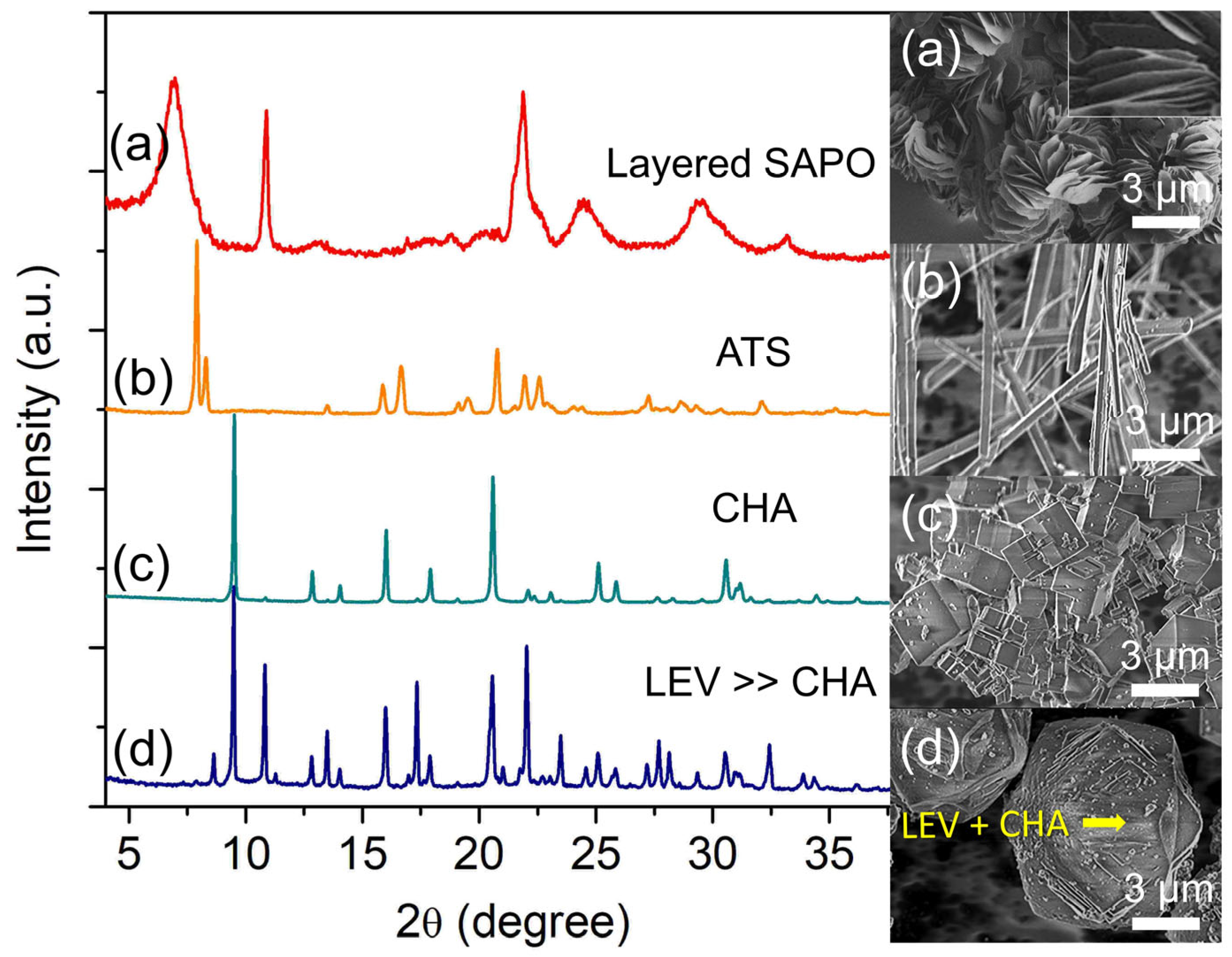 Catalysts 13 00680 g003 Catalysts 13 00680 g003