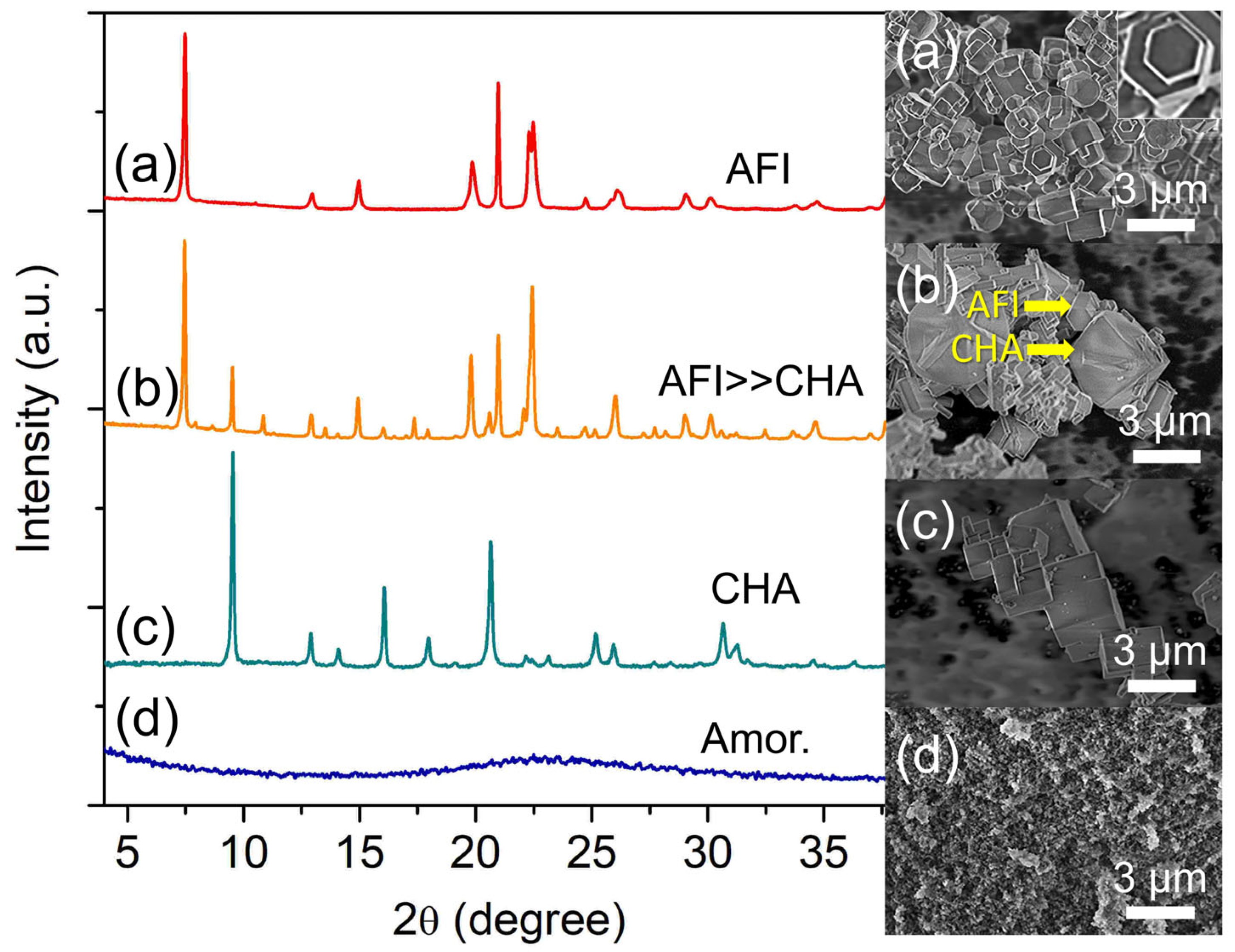 Catalysts 13 00680 g004 Catalysts 13 00680 g004