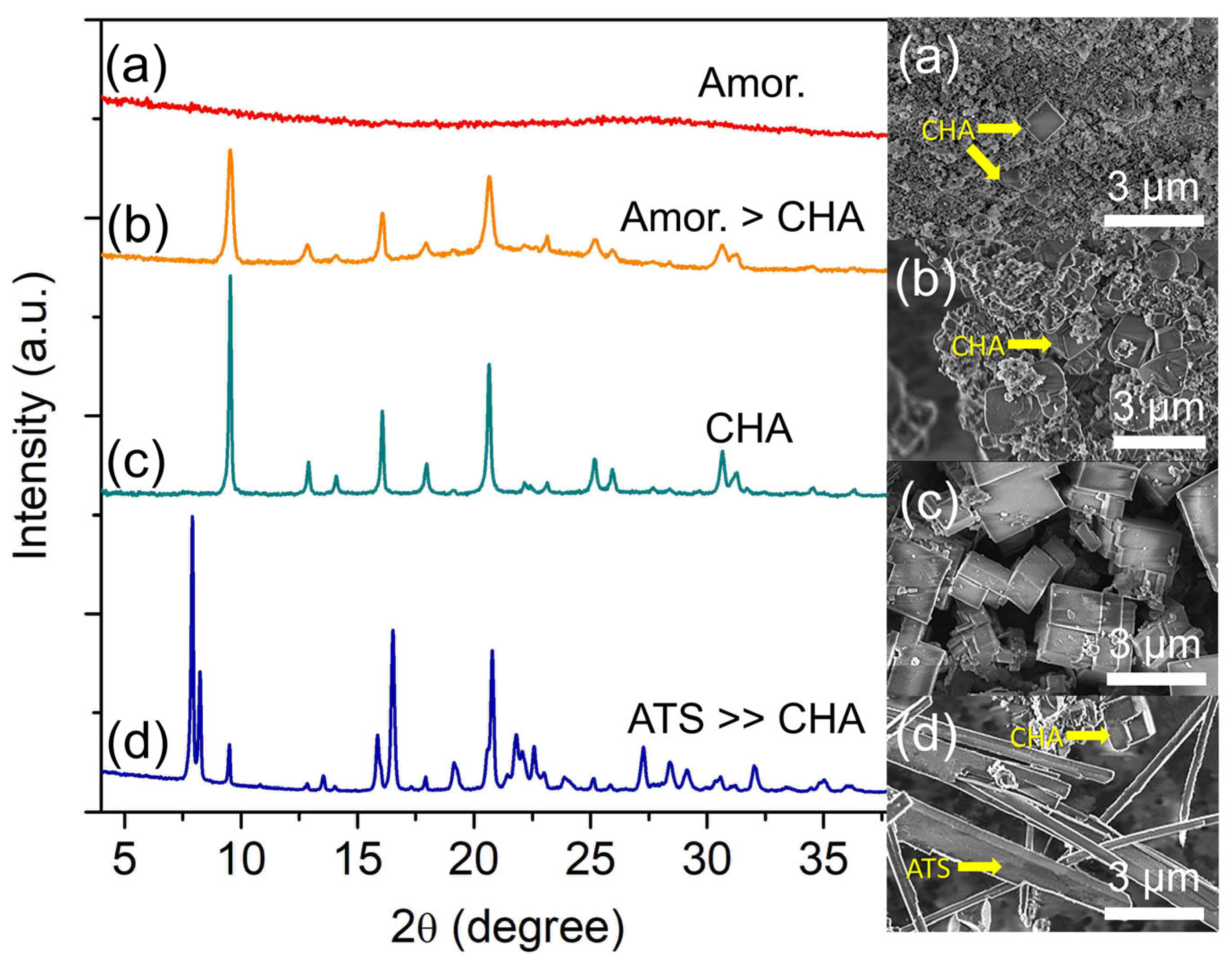 Catalysts 13 00680 g006 Catalysts 13 00680 g006