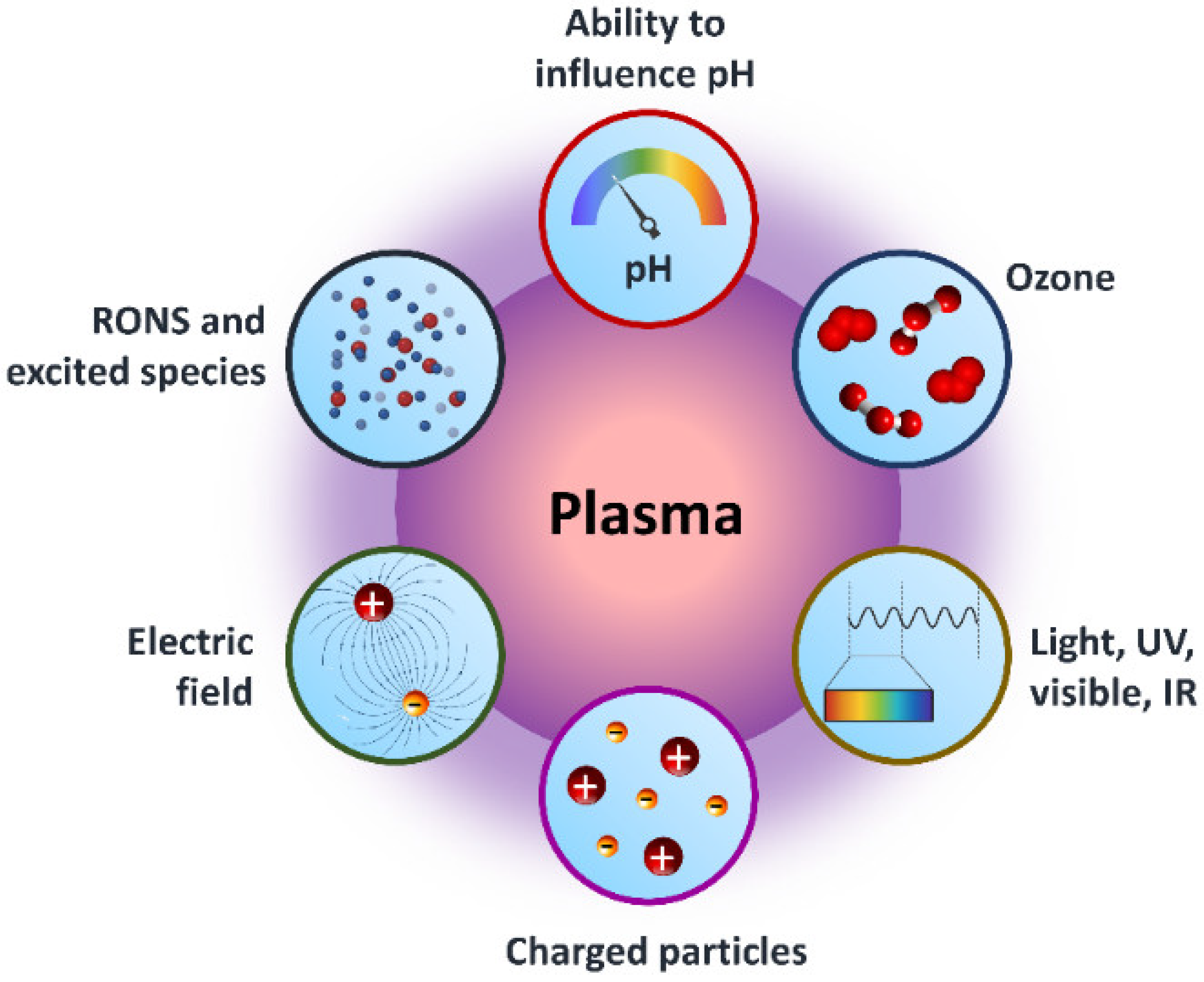 Catalysts Free FullText Review on the Biomedical and Environmental