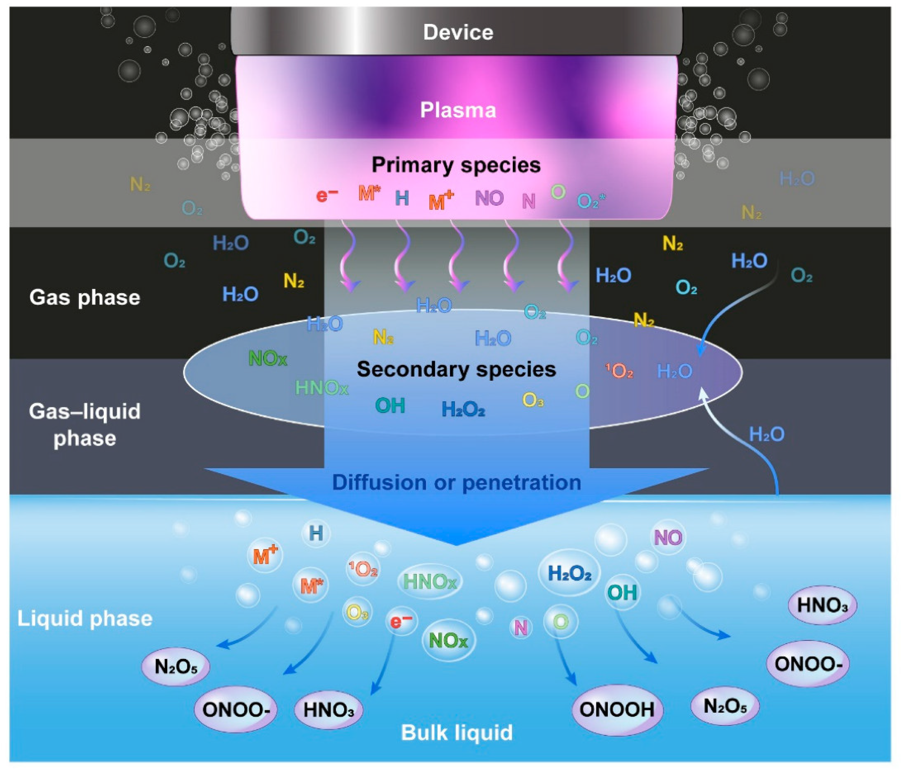Catalysts 13 00685 g003