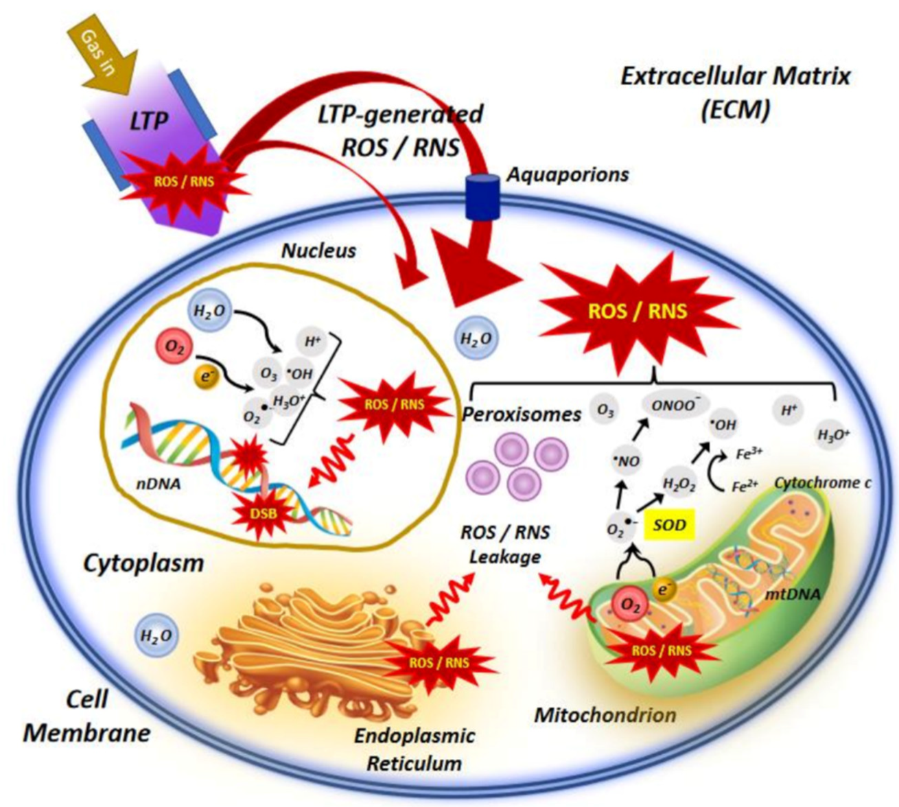 Catalysts 13 00685 g004