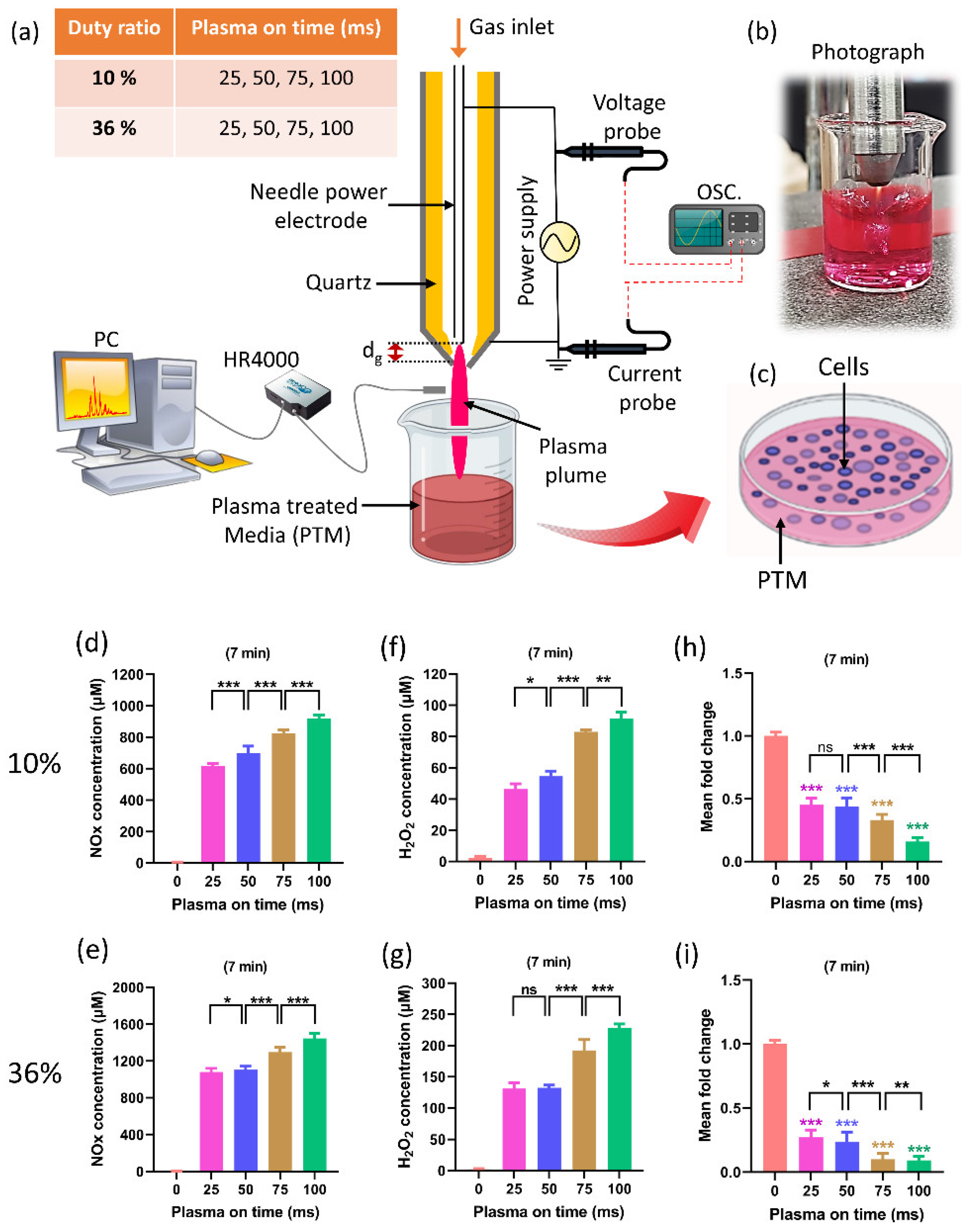 Catalysts 13 00685 g005