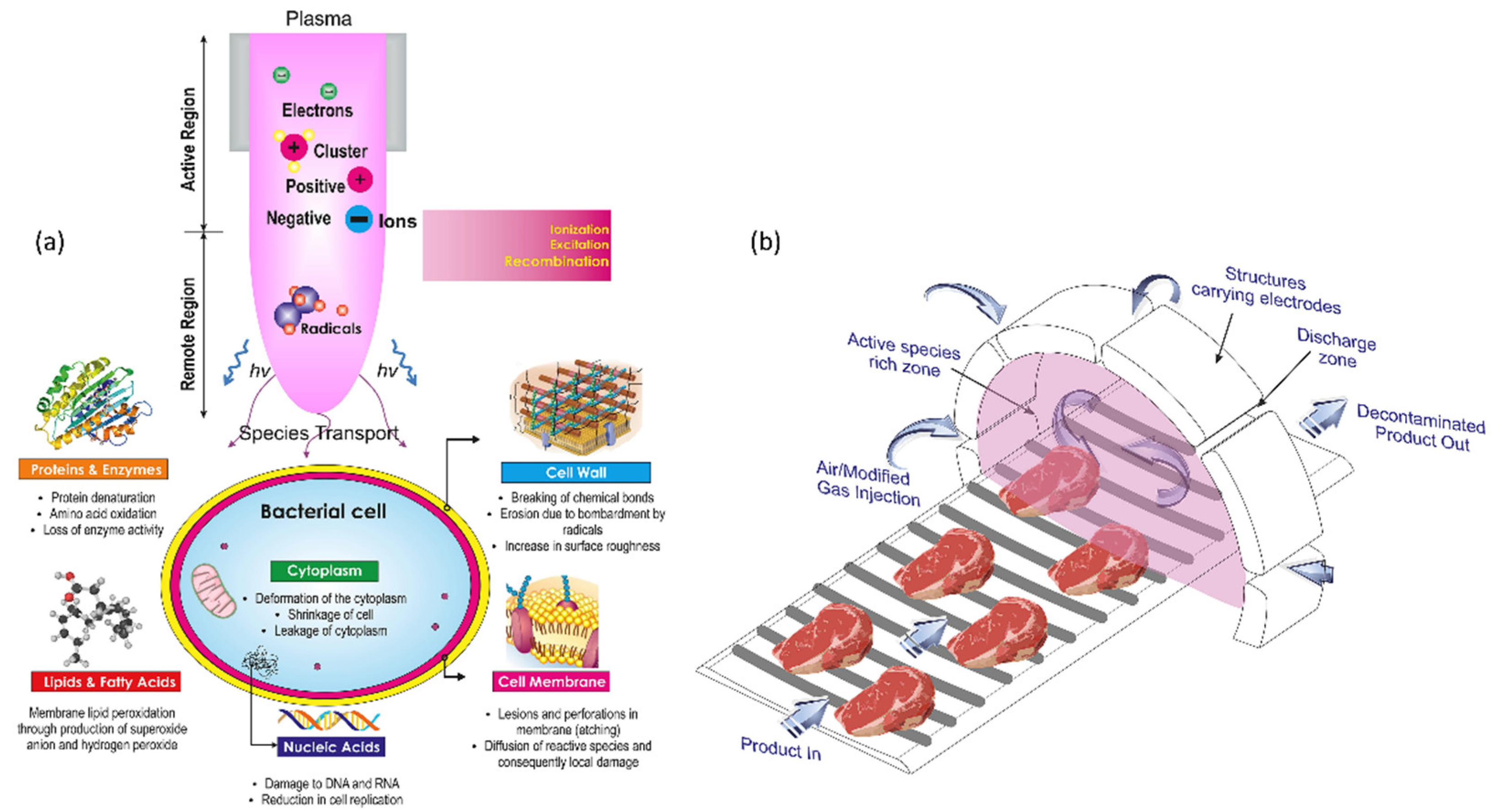 Catalysts 13 00685 g007