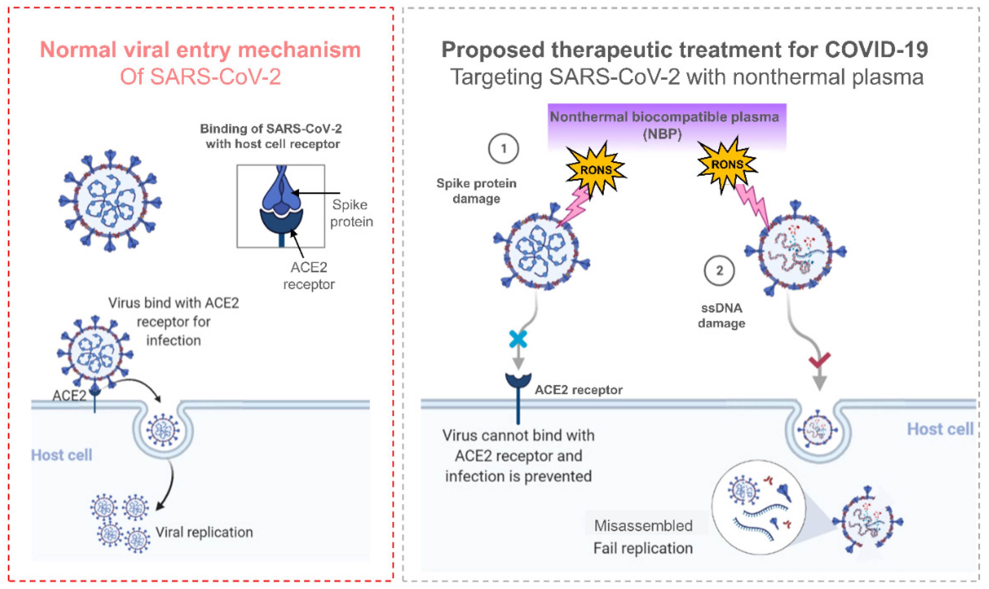 Catalysts 13 00685 g008