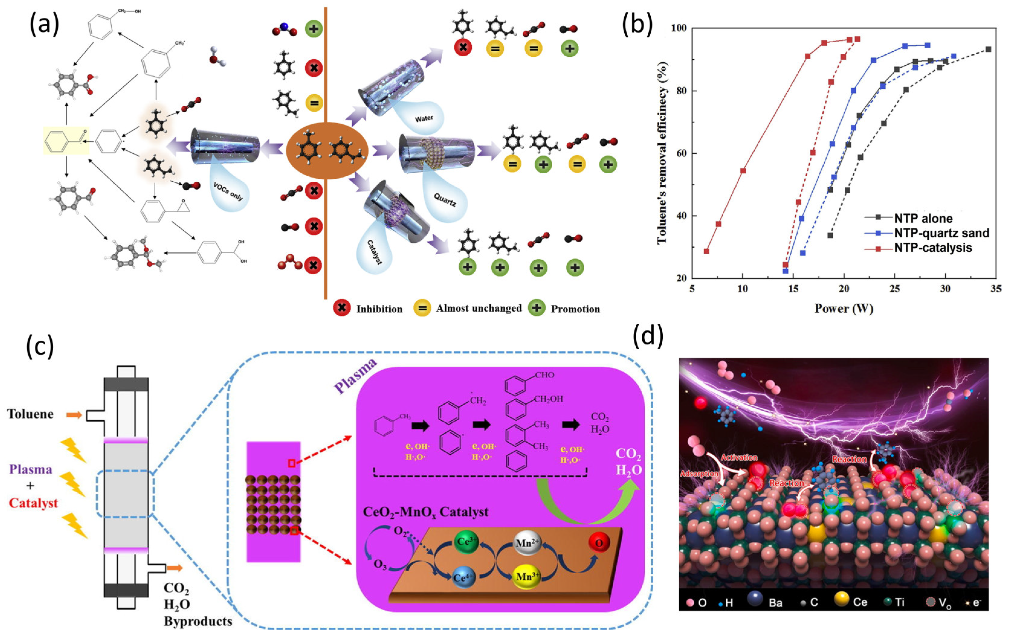 Catalysts 13 00685 g011