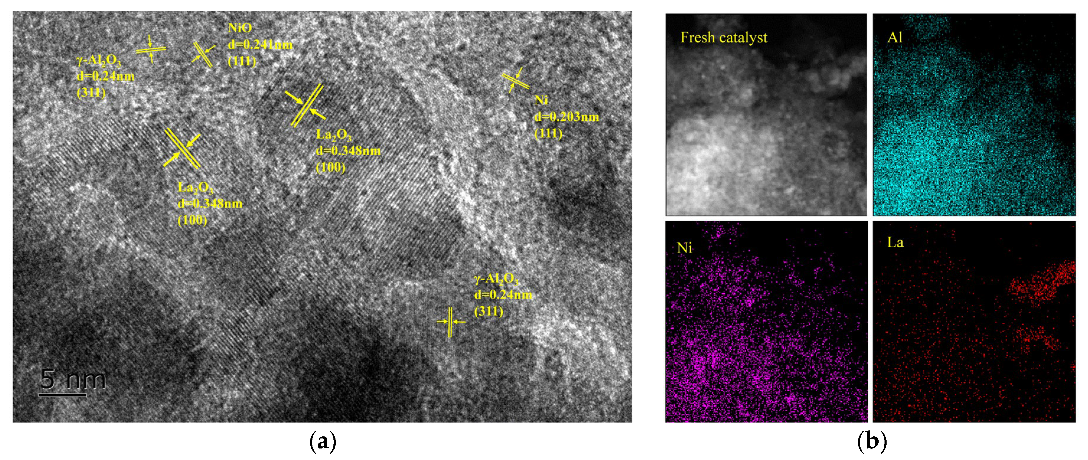 Catalysts 13 00686 g001 Catalysts 13 00686 g001