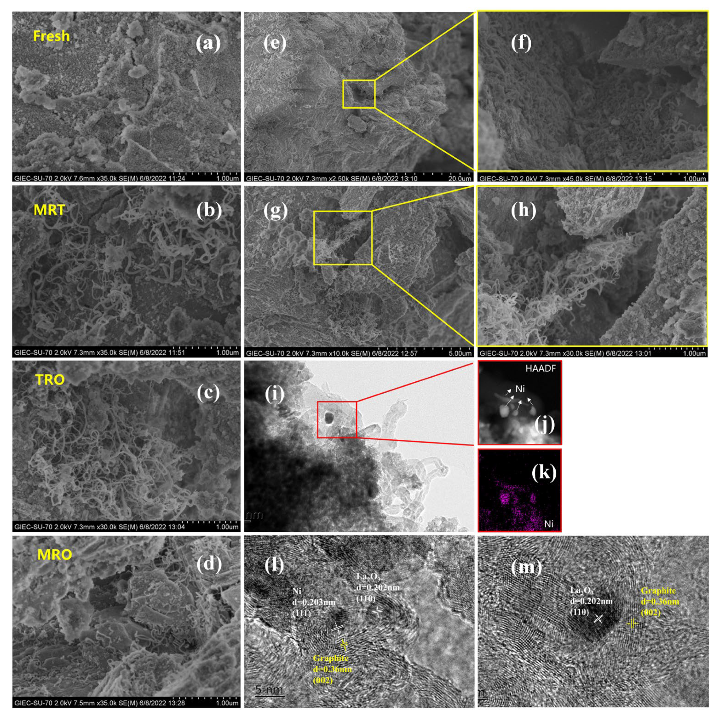 Catalysts 13 00686 g004 Catalysts 13 00686 g004