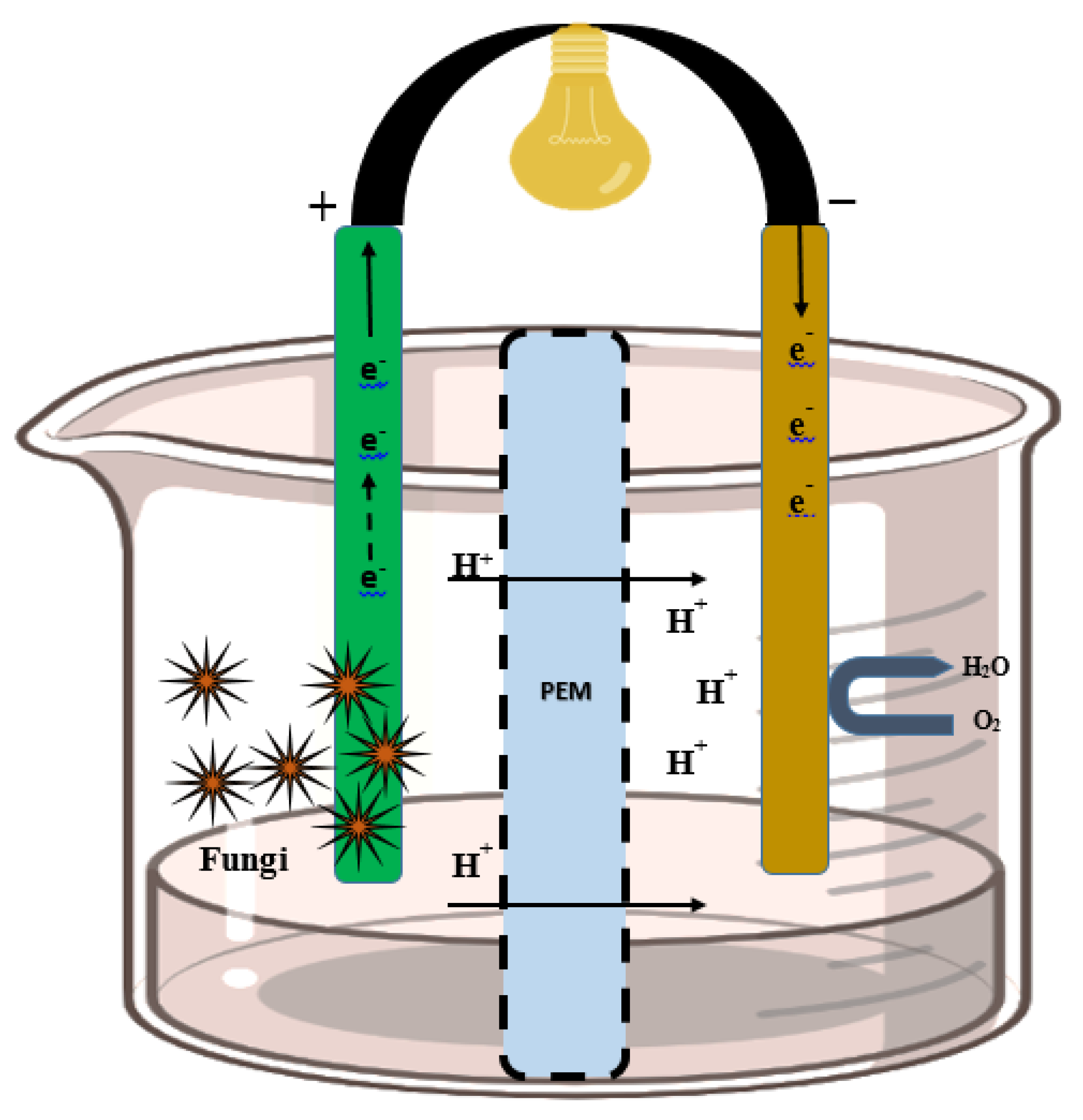 Catalysts 13 00687 g002 Catalysts 13 00687 g002