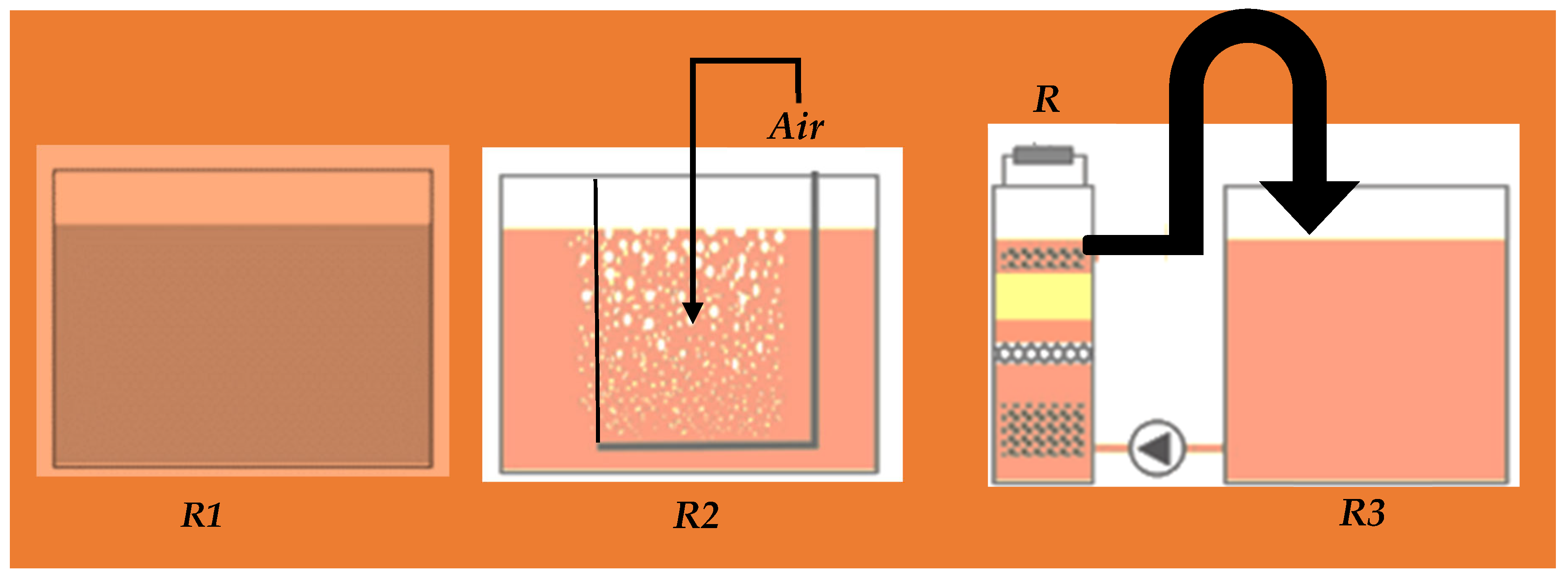 Catalysts 13 00687 g003 Catalysts 13 00687 g003
