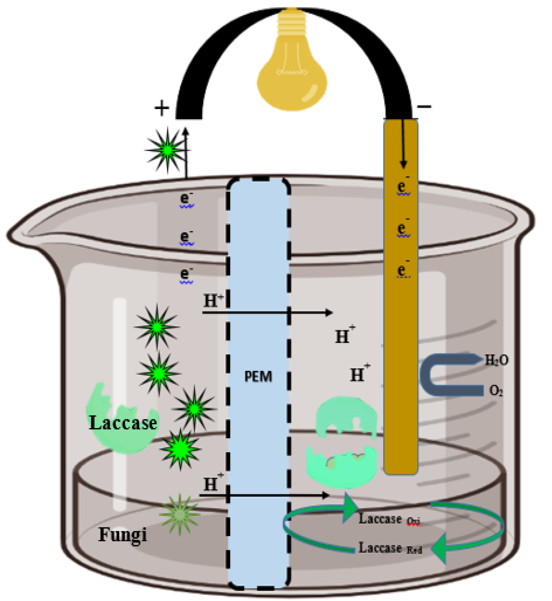 Catalysts 13 00687 g004 Catalysts 13 00687 g004