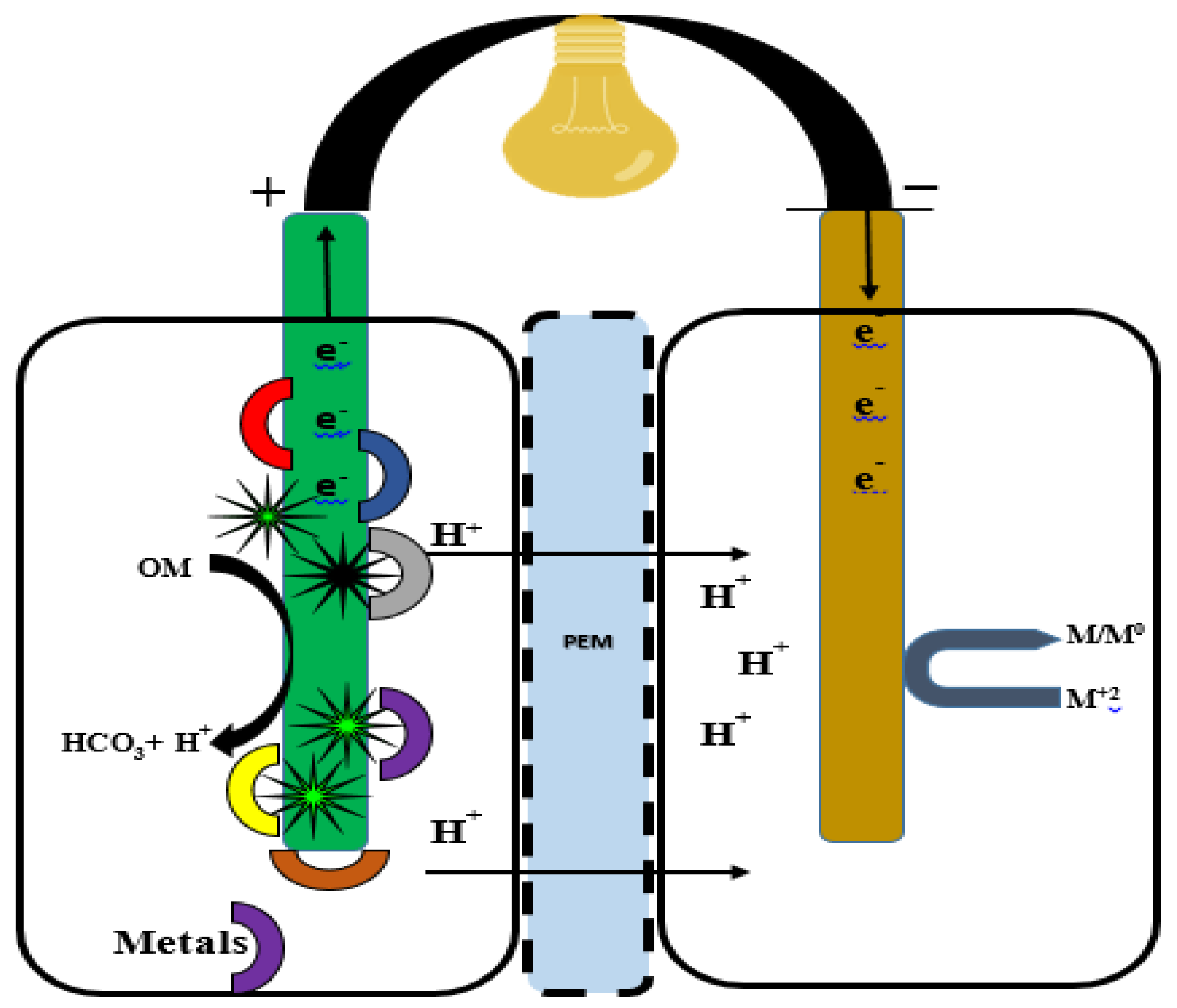 Catalysts 13 00687 g006 Catalysts 13 00687 g006