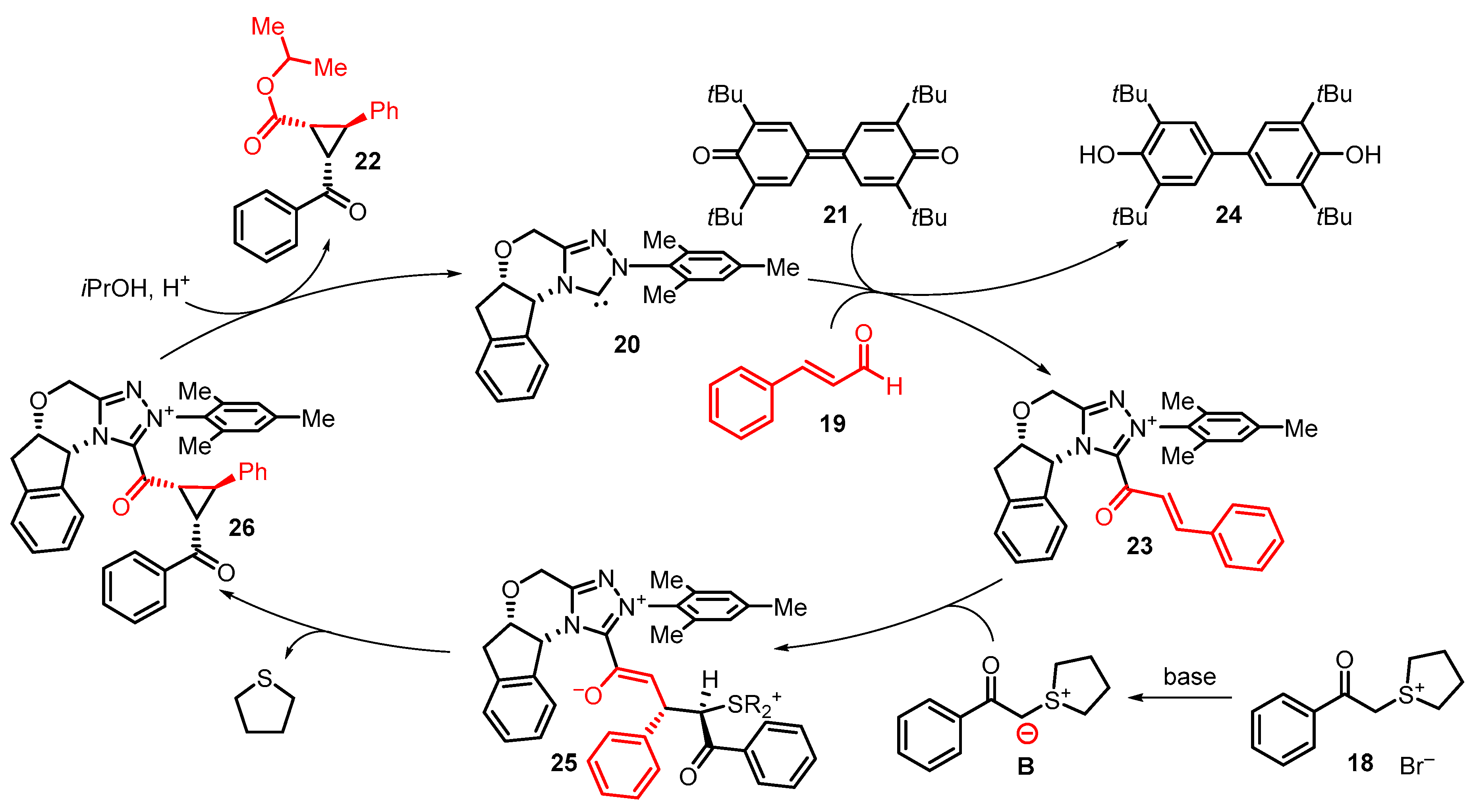 Catalysts 13 00689 sch009 Catalysts 13 00689 sch009