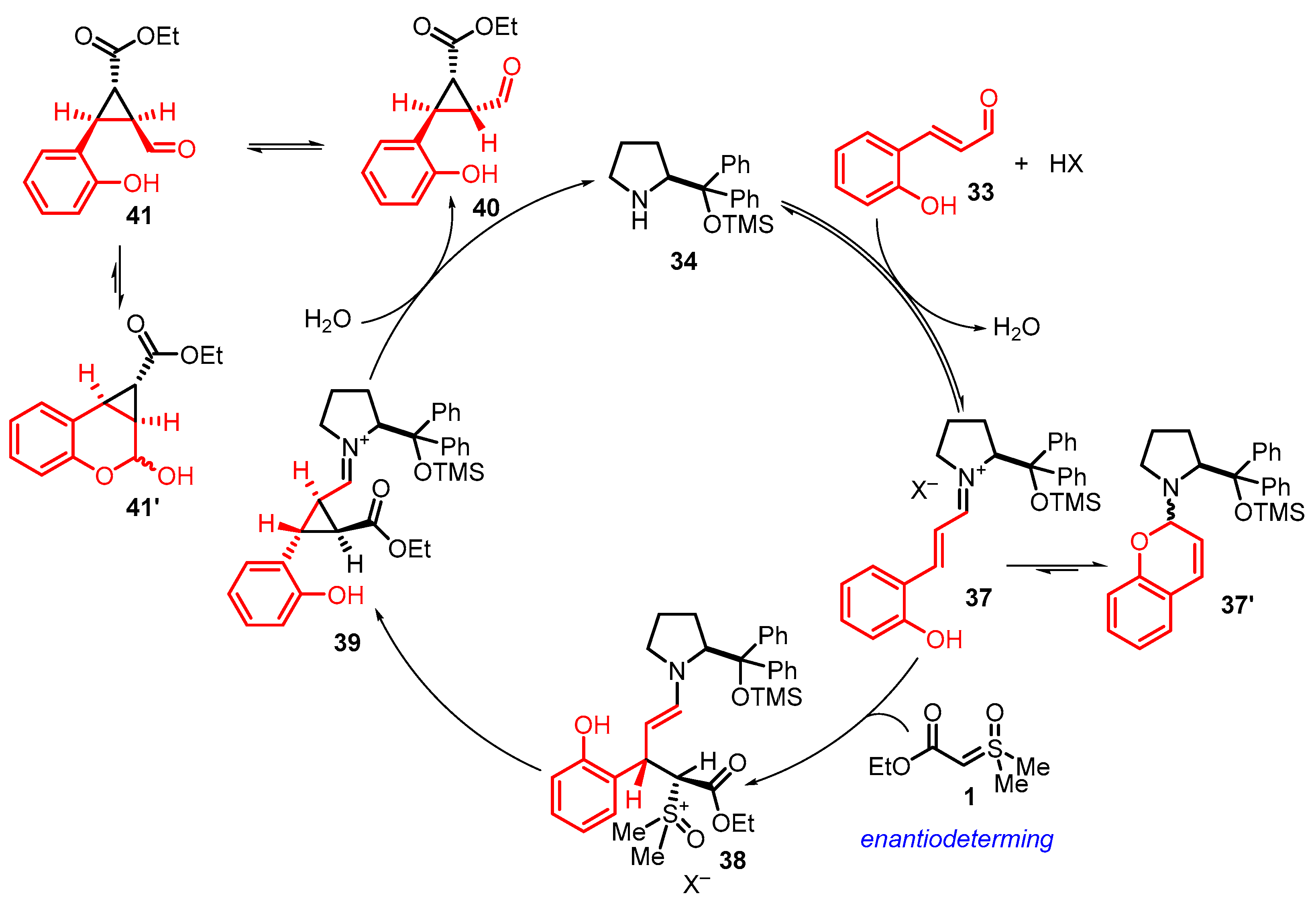 Catalysts 13 00689 sch013 Catalysts 13 00689 sch013