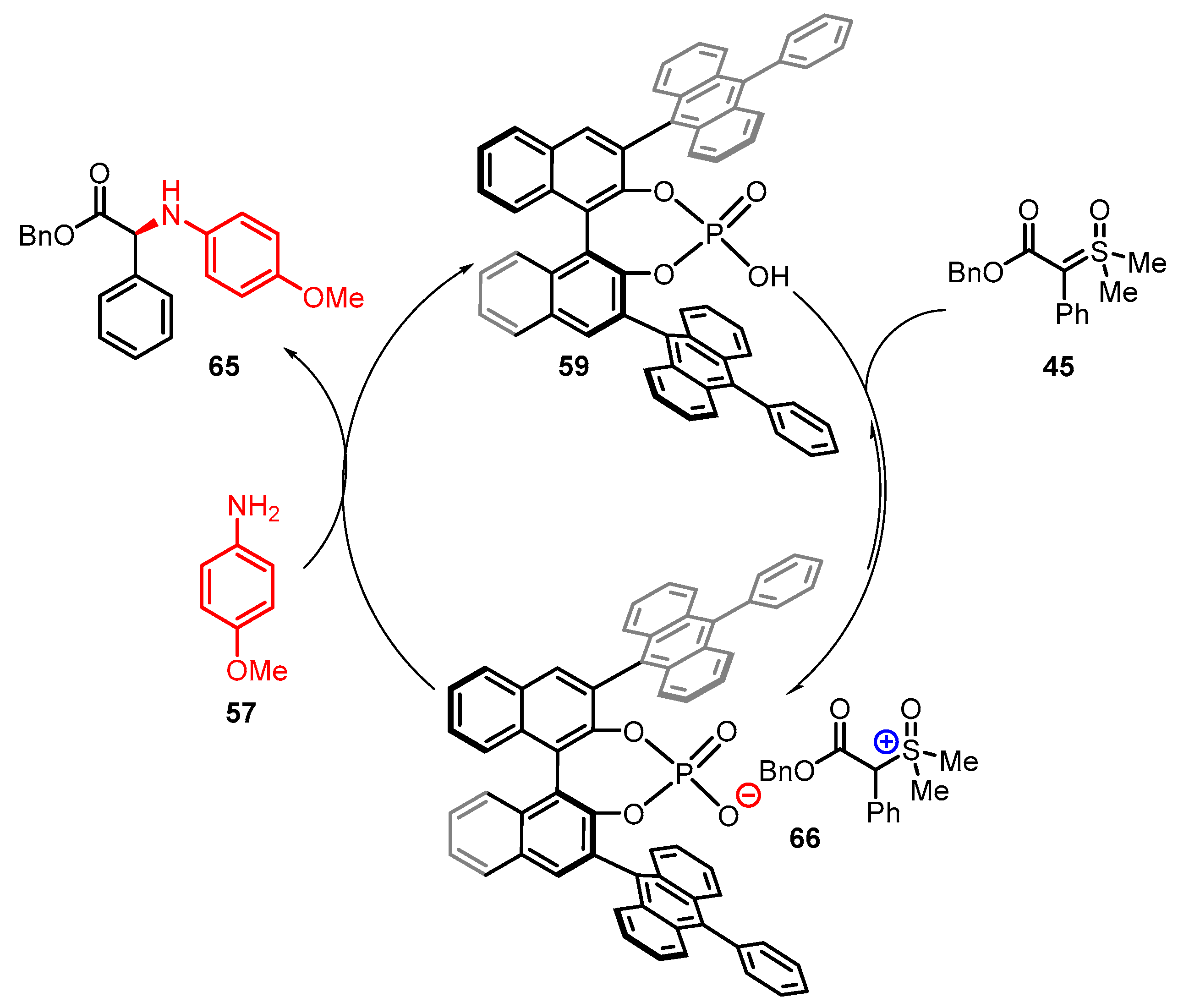 Catalysts 13 00689 sch023 Catalysts 13 00689 sch023