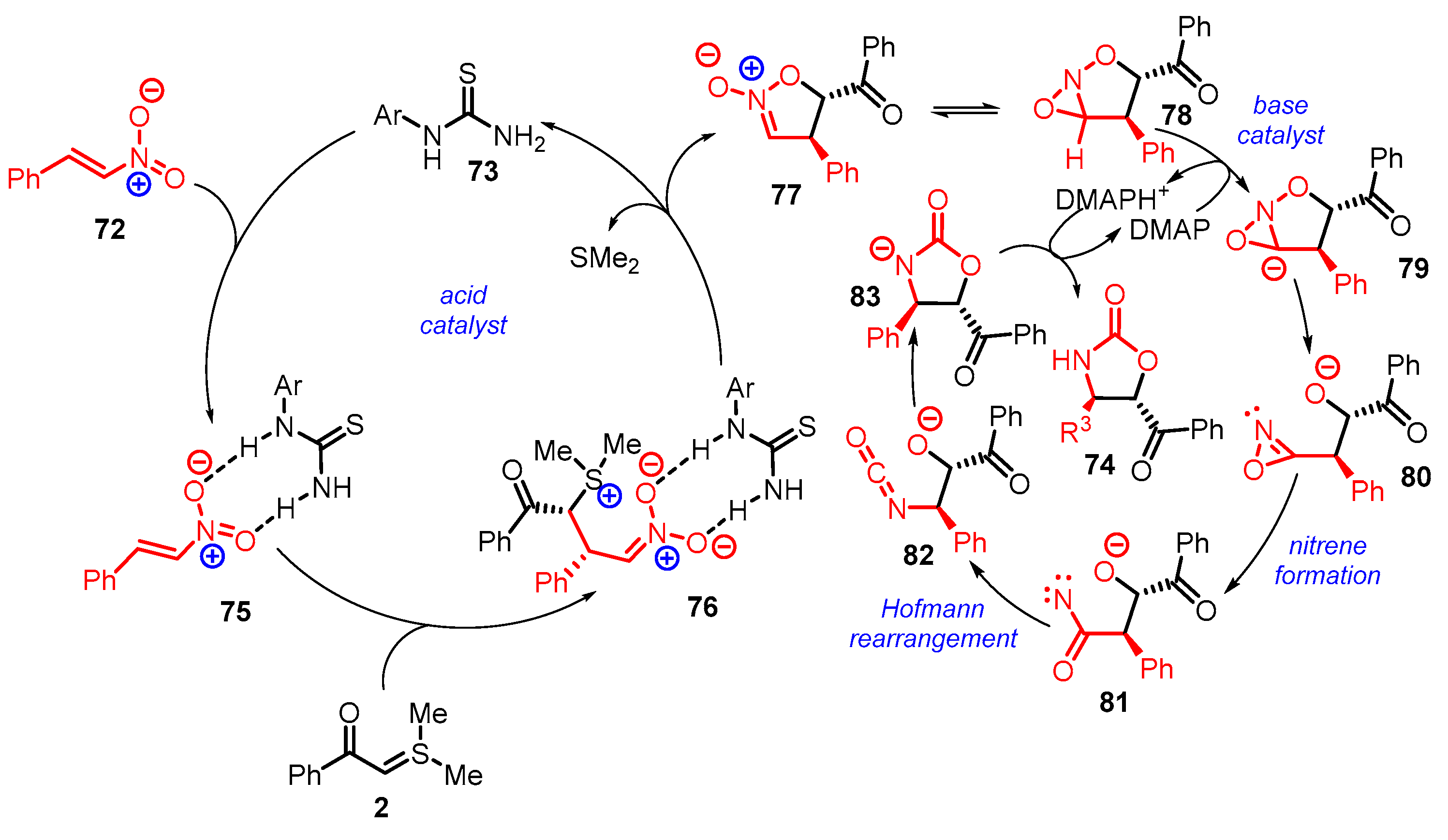 Catalysts 13 00689 sch027 Catalysts 13 00689 sch027