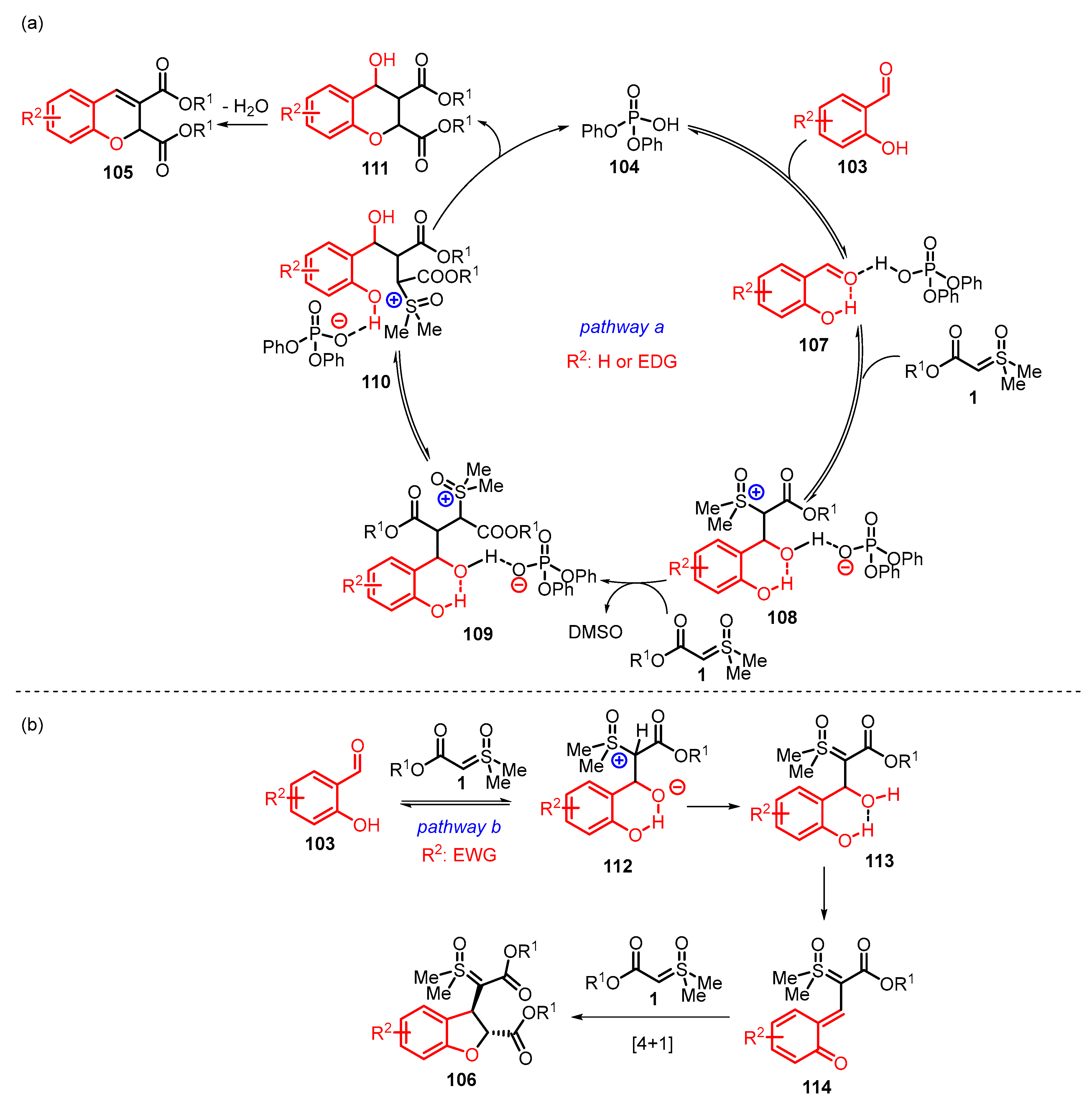 Catalysts 13 00689 sch036 Catalysts 13 00689 sch036