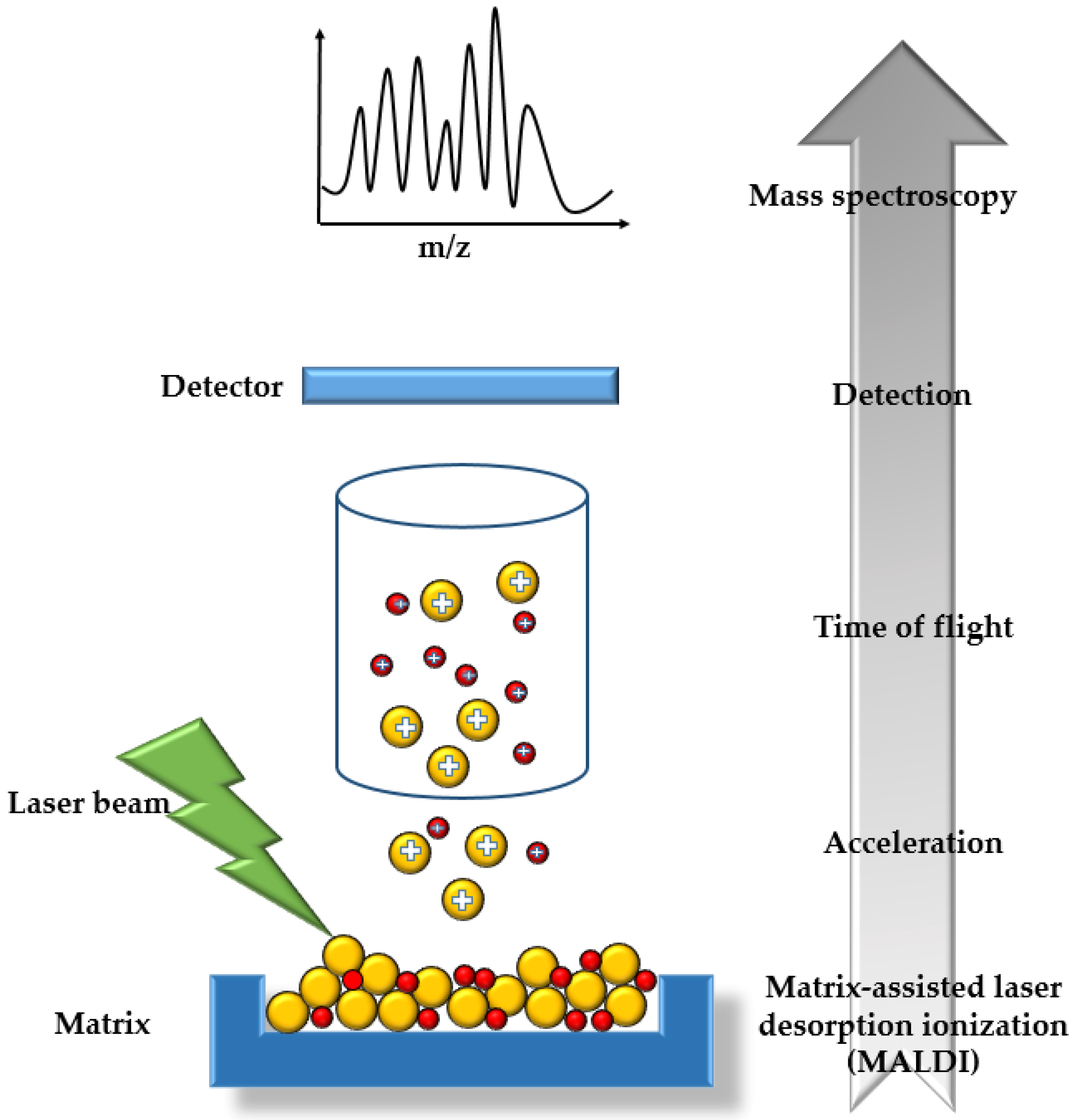 Catalysts 13 00690 g007 Catalysts 13 00690 g007