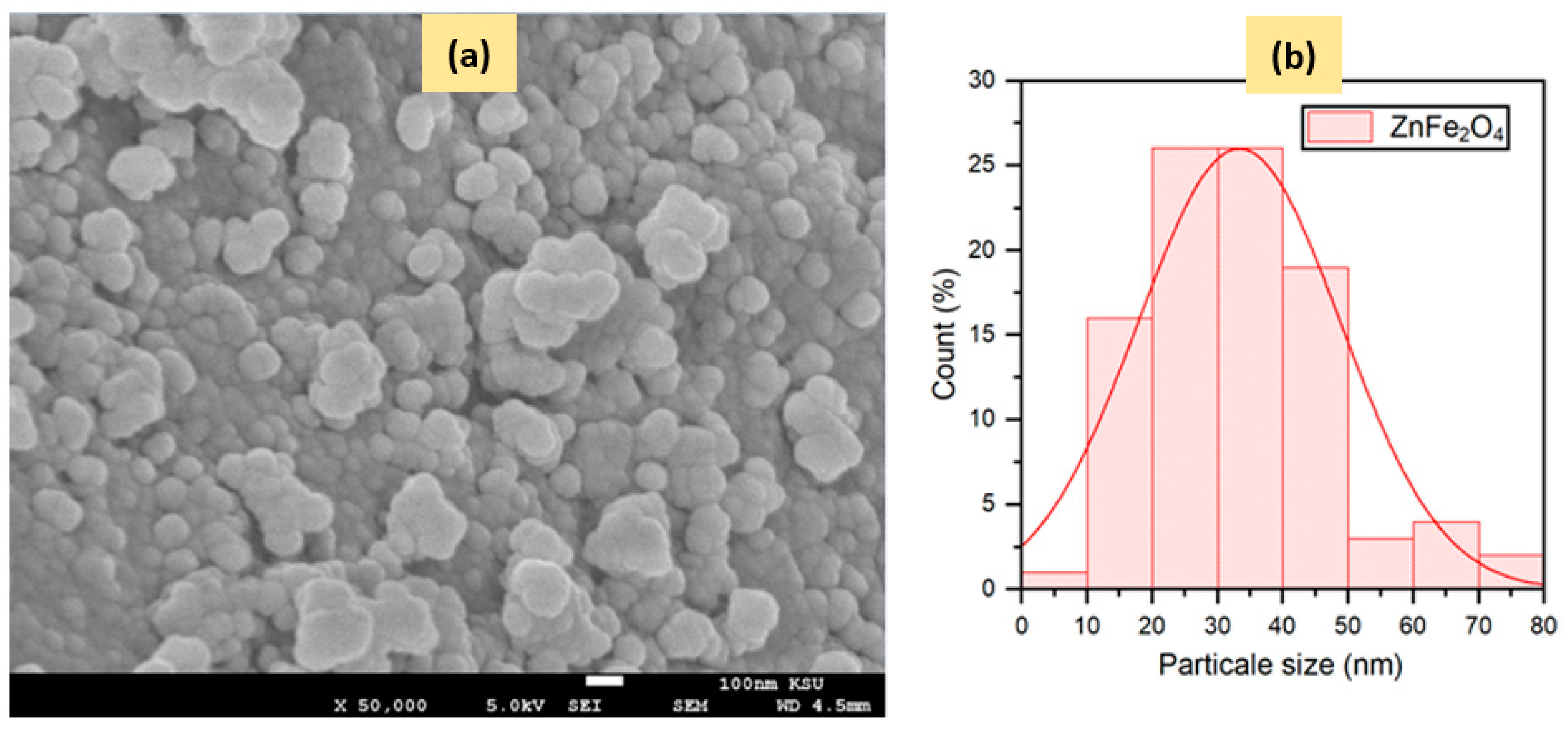 Catalysts 13 00692 g004 Catalysts 13 00692 g004