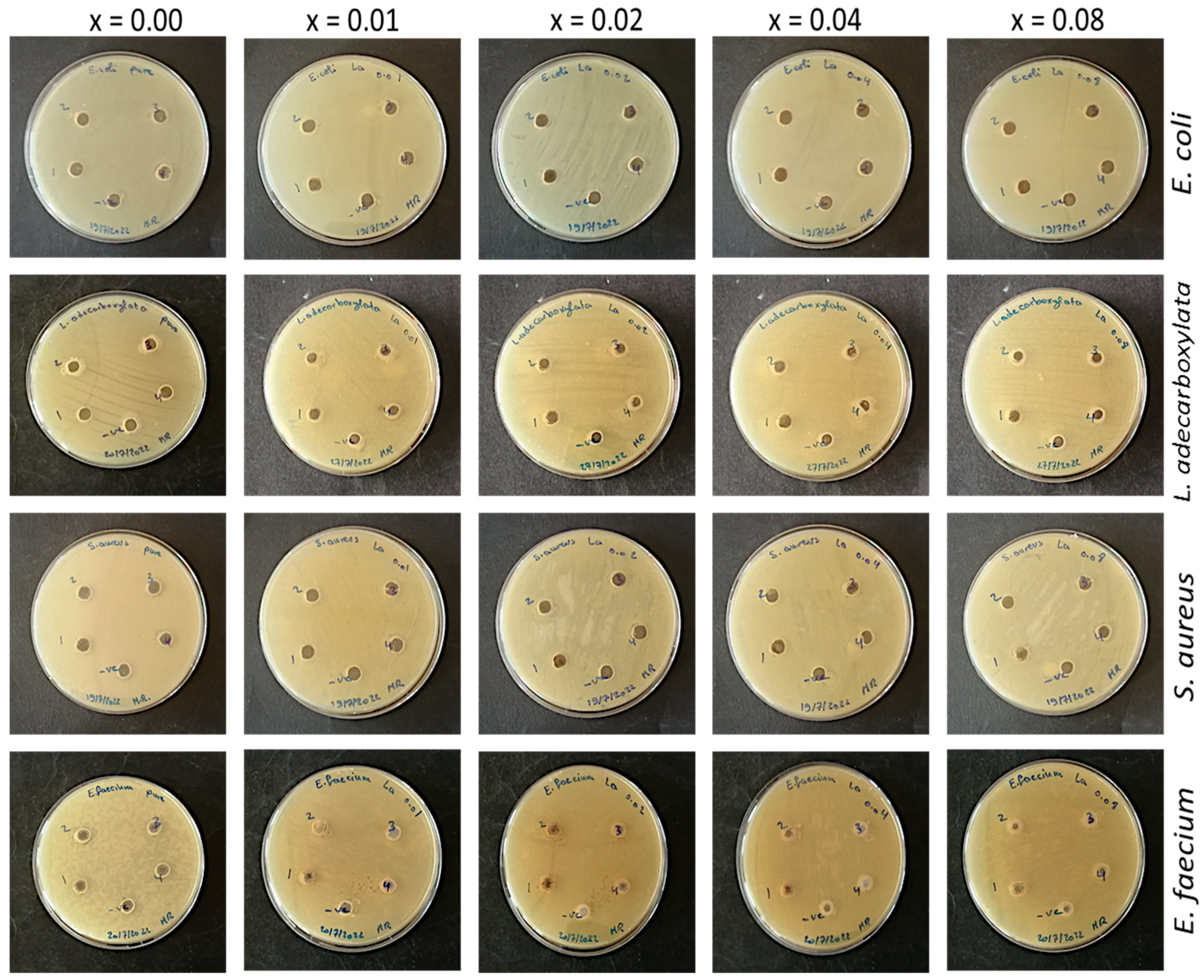 Catalysts 13 00693 g0a5