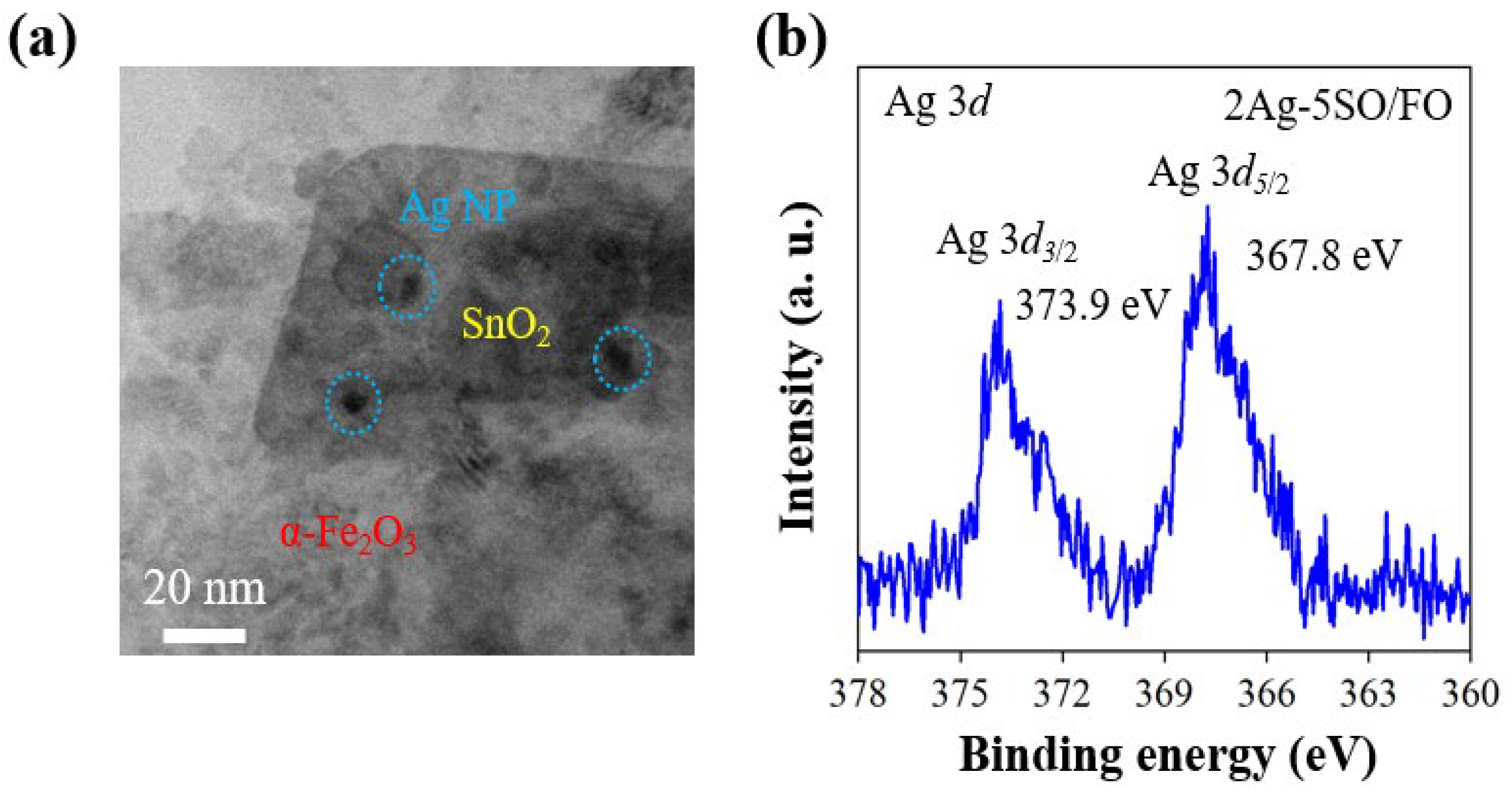Catalysts 13 00696 g002 550