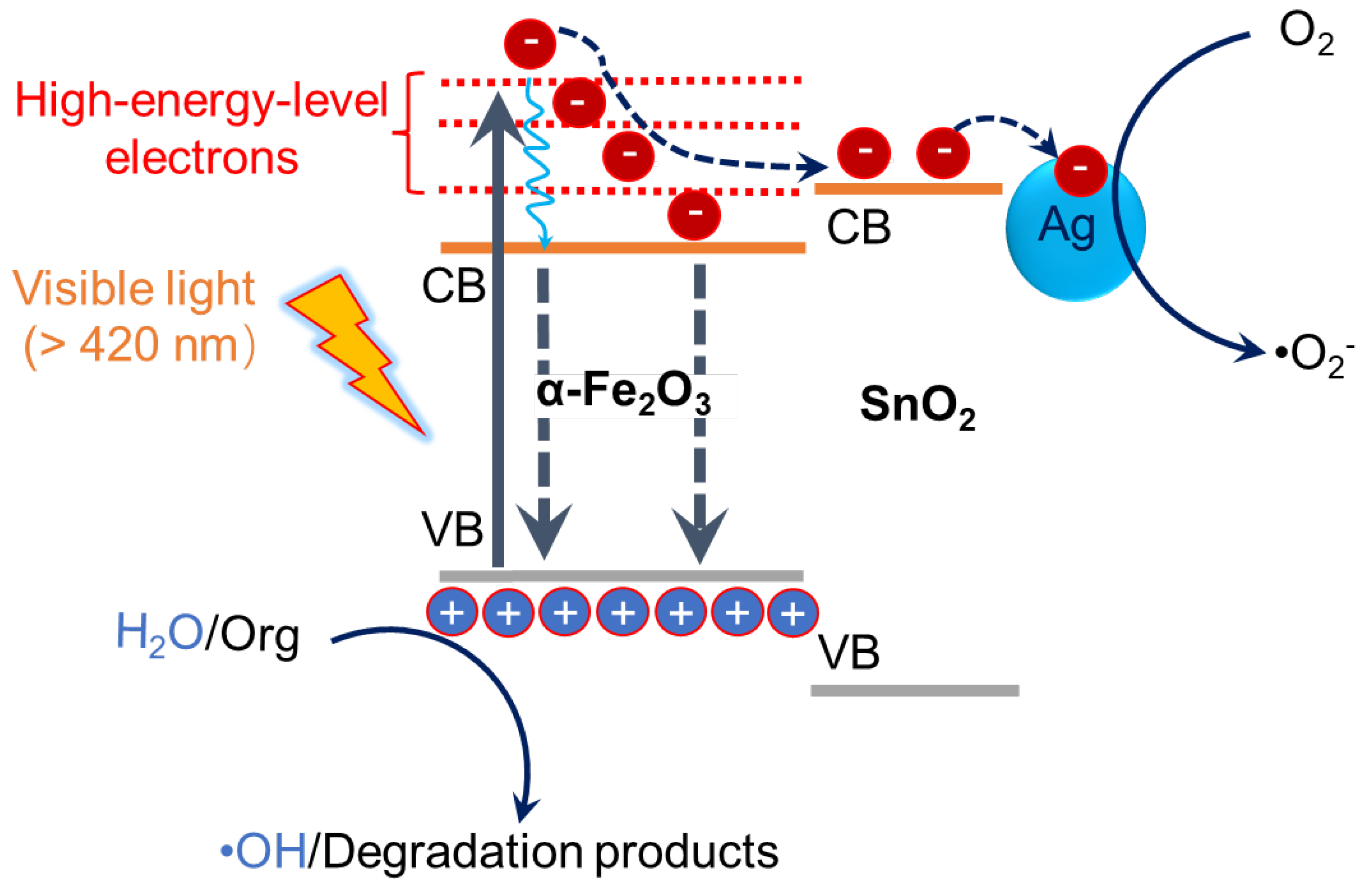 Catalysts 13 00696 sch001 550