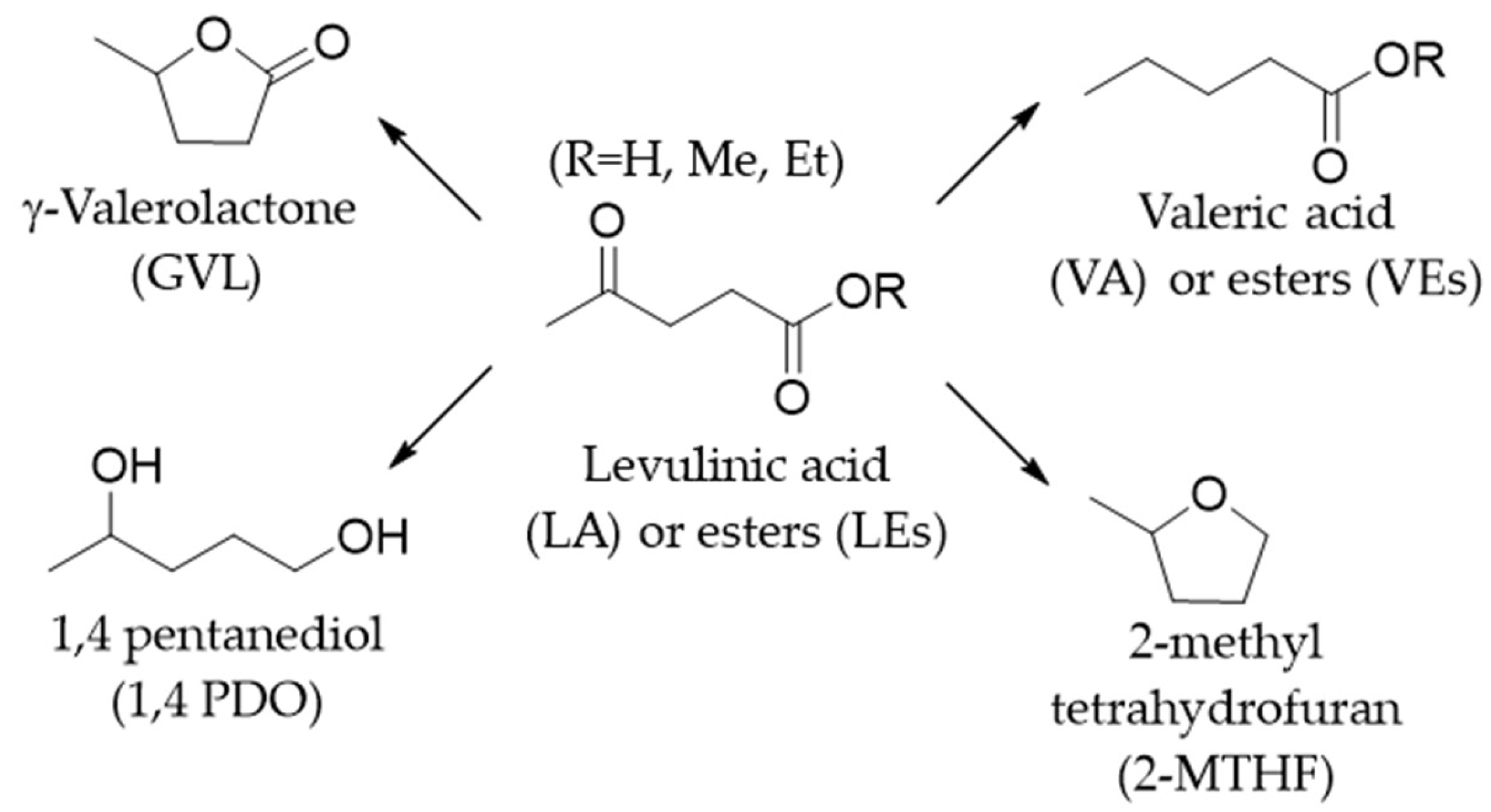 Catalysts 13 00697 sch001