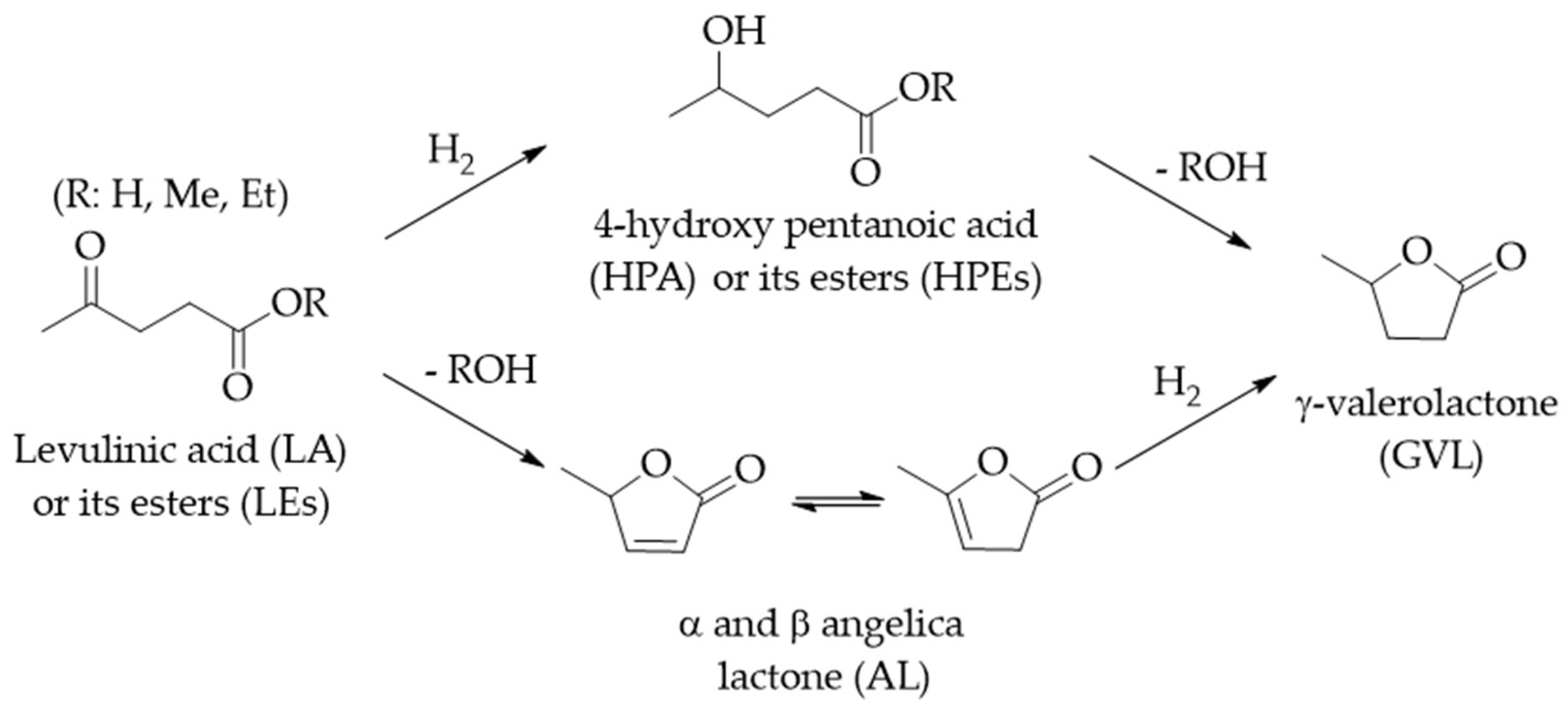 Catalysts 13 00697 sch002