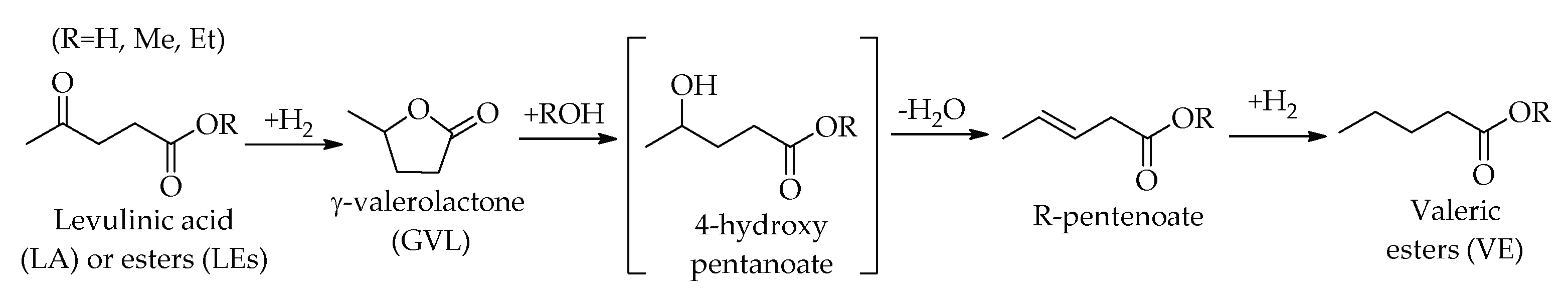 Catalysts 13 00697 sch004