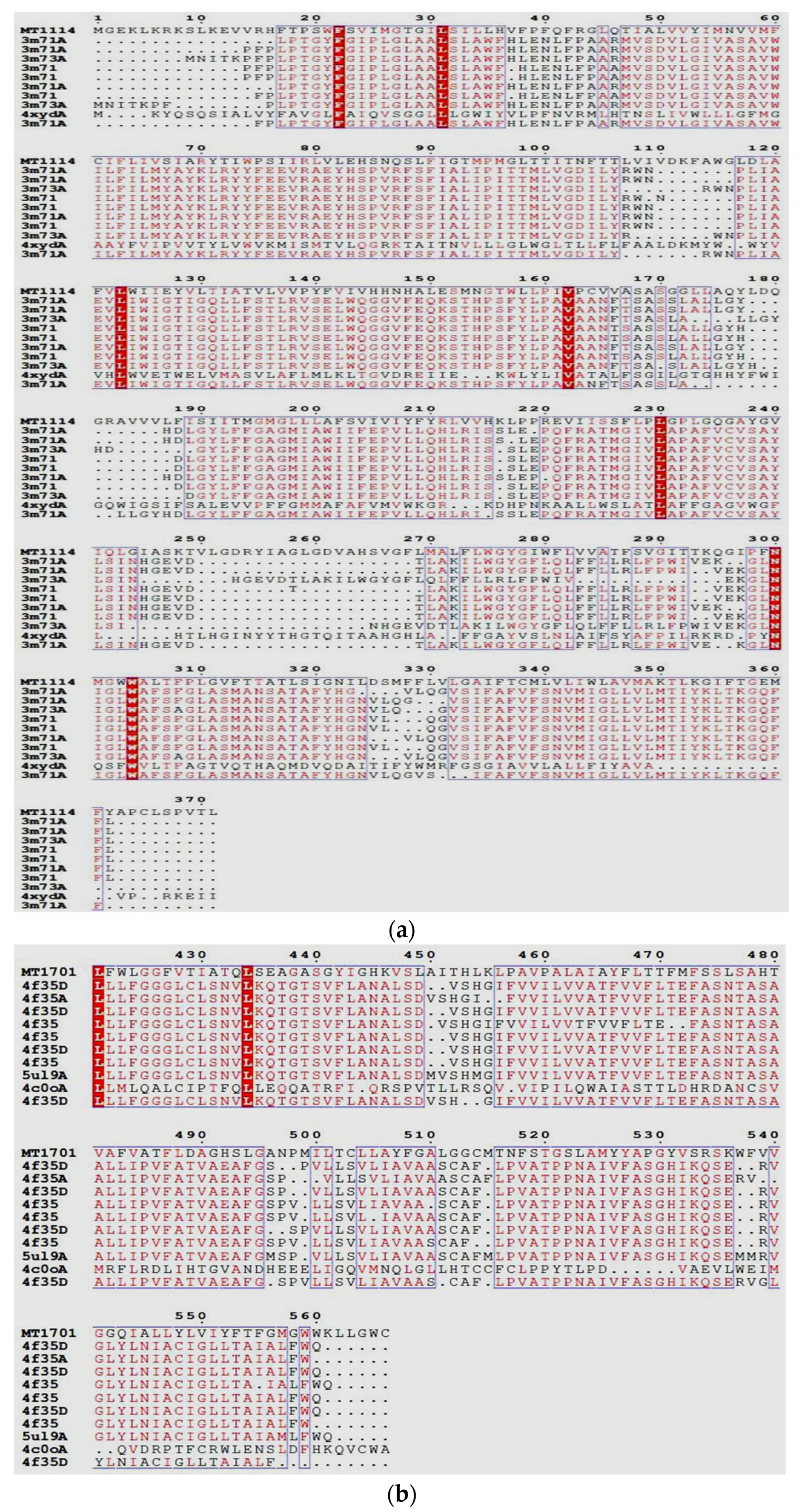 Catalysts 13 00705 g001