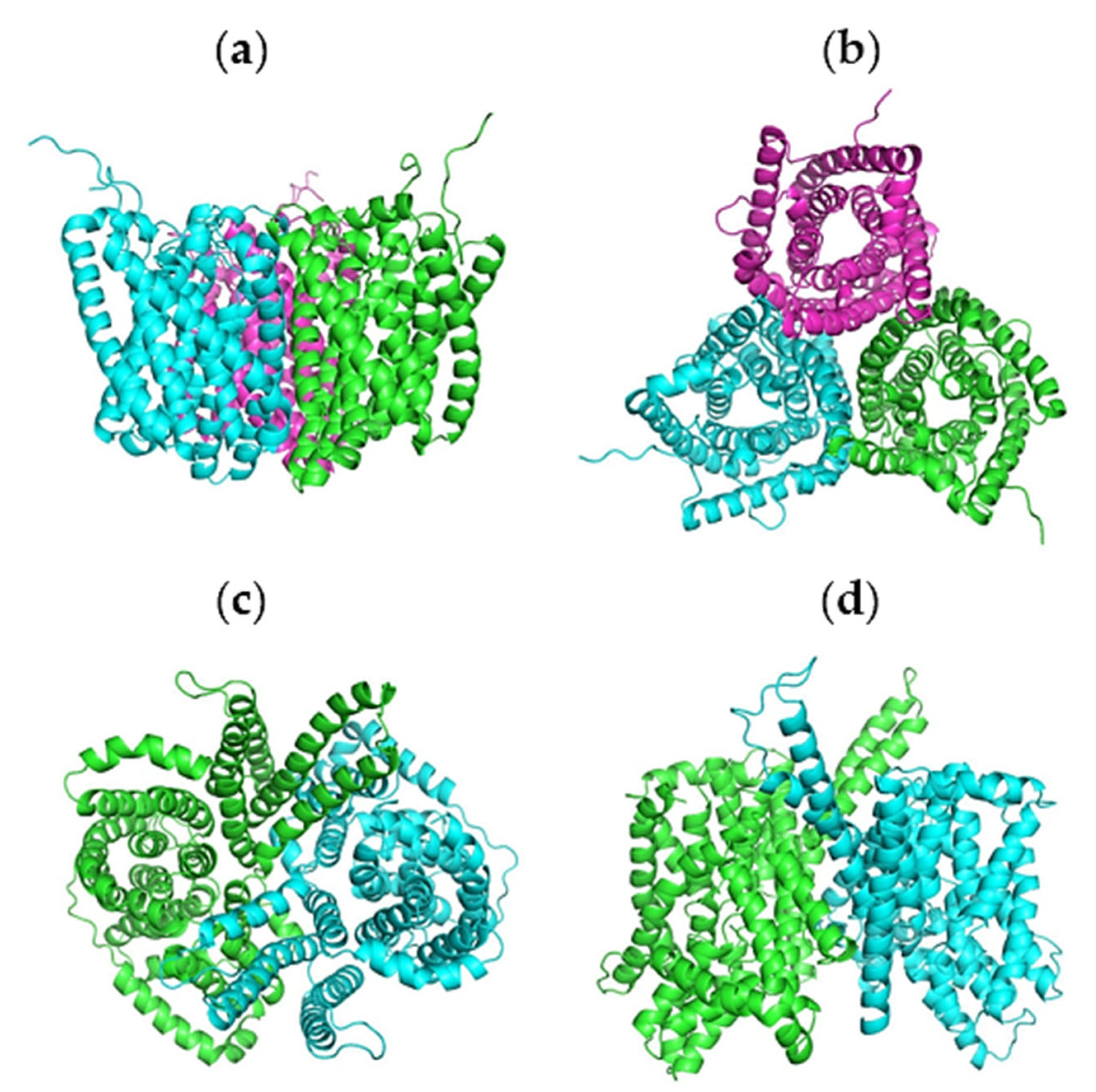 Catalysts 13 00705 g003