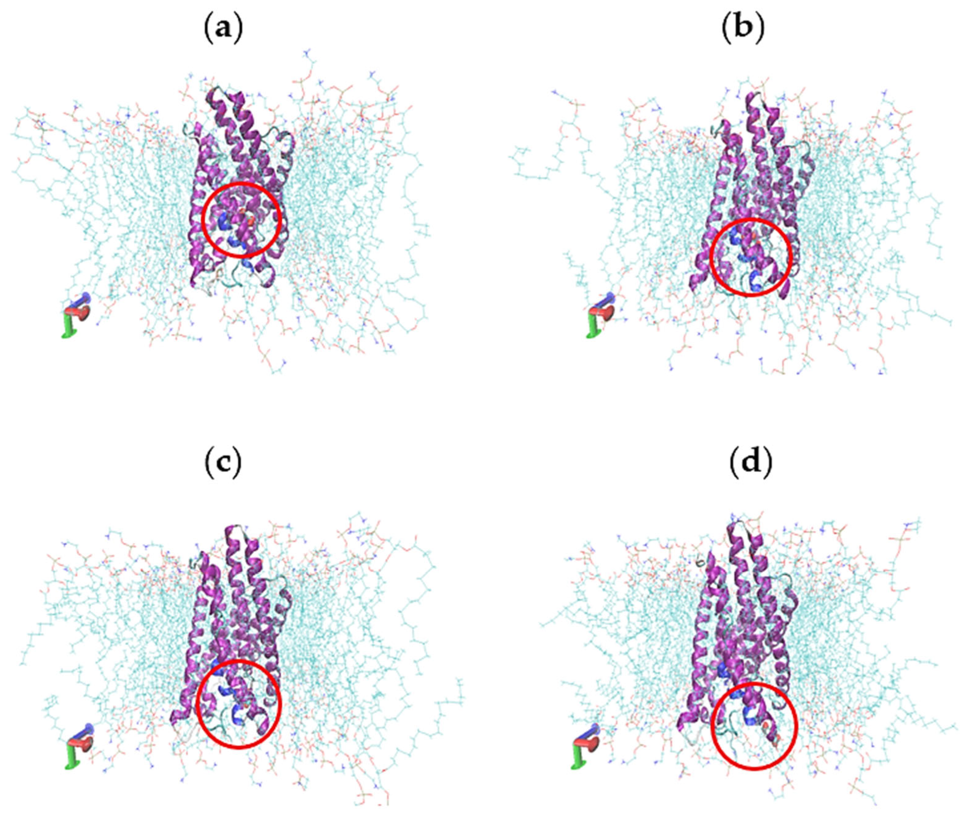 Catalysts 13 00705 g008