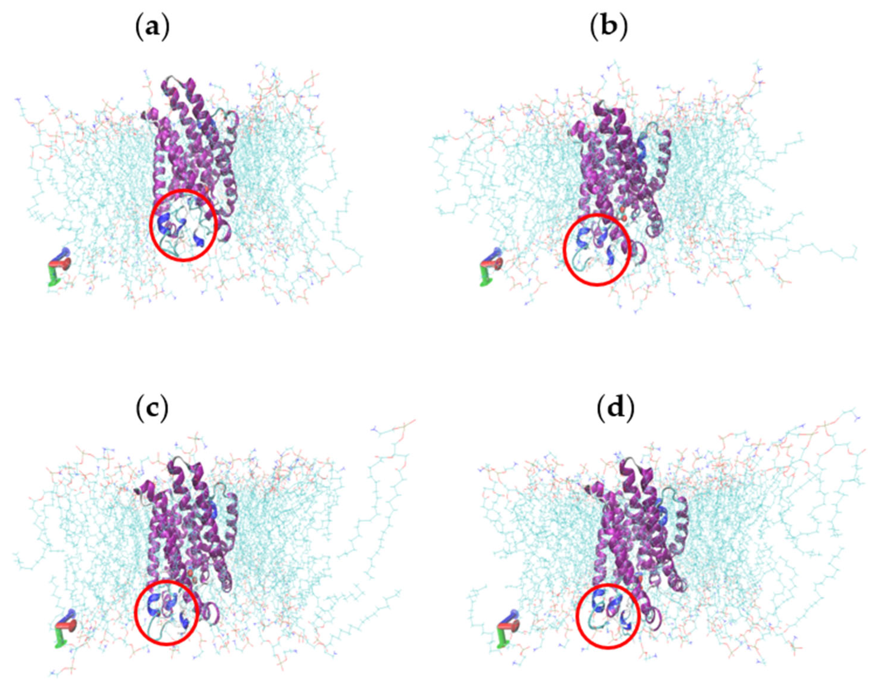Catalysts 13 00705 g009