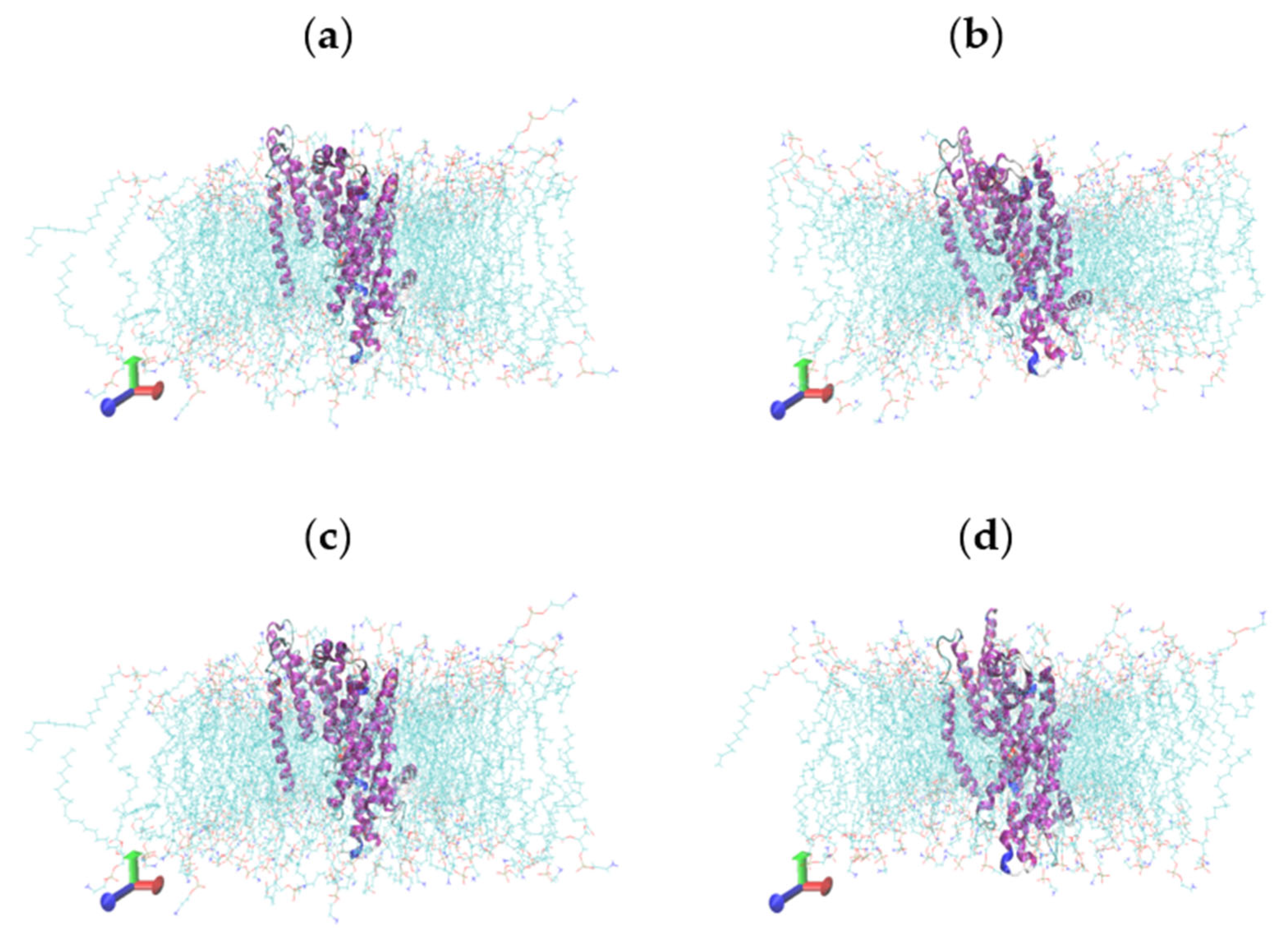 Catalysts 13 00705 g010