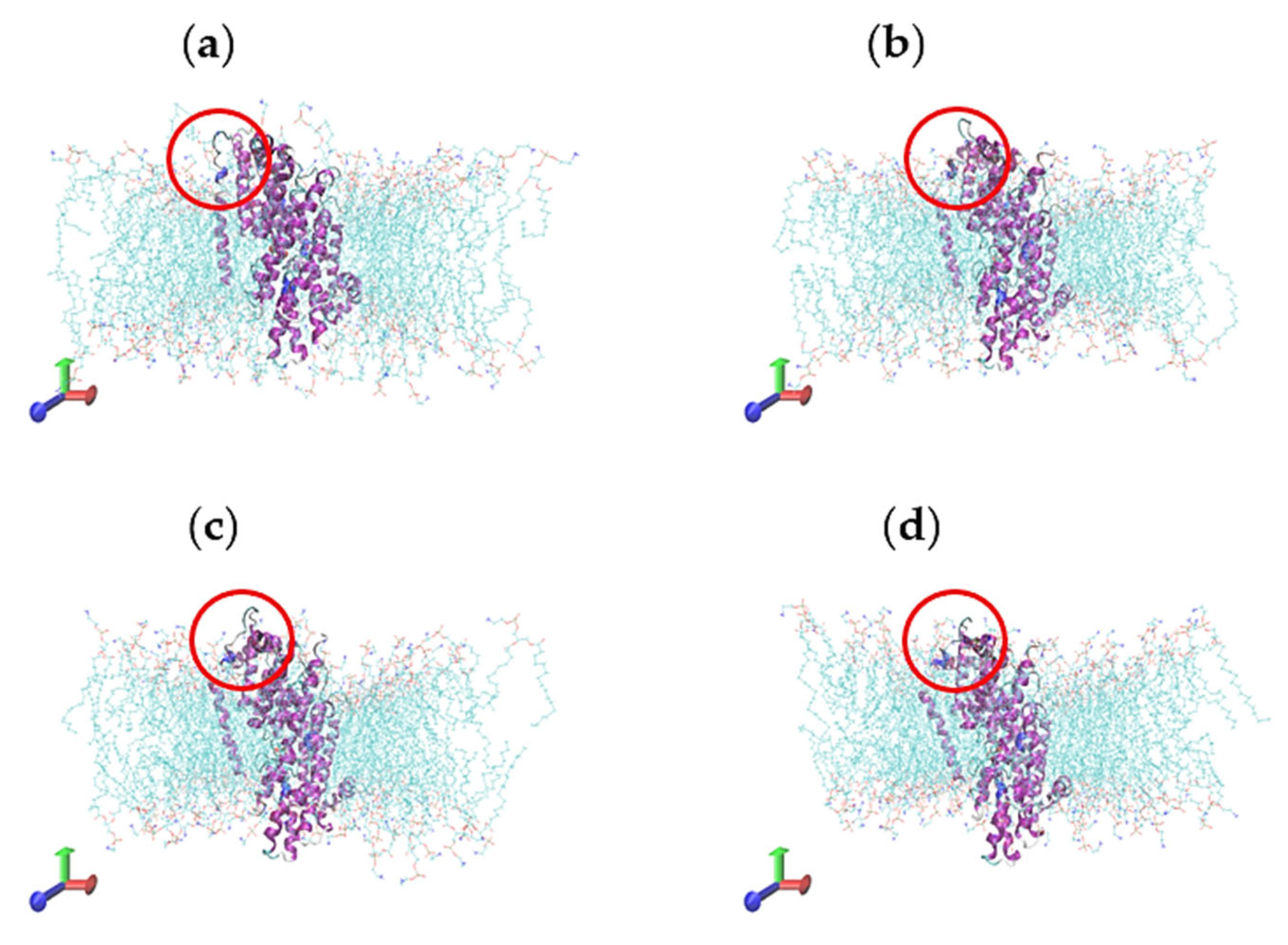 Catalysts 13 00705 g011
