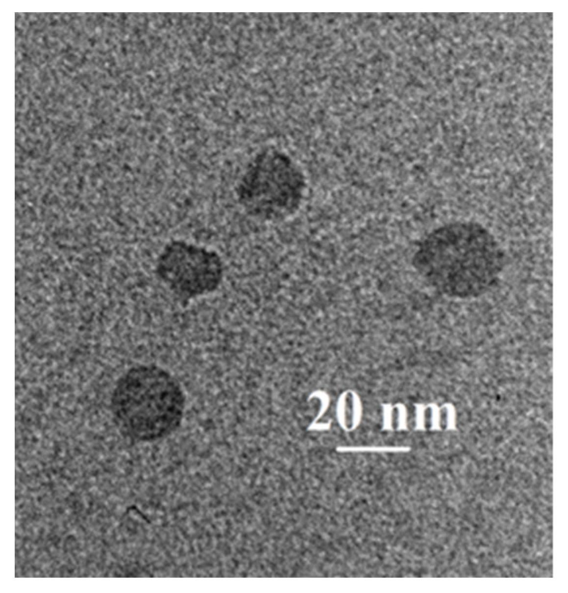 Catalysts 13 00706 g005 Catalysts 13 00706 g005