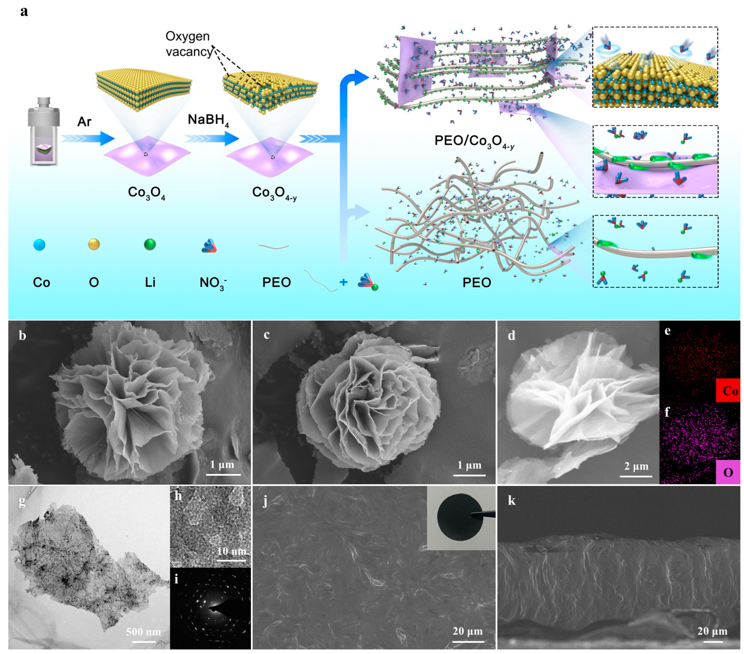 Catalysts 13 00711 g001