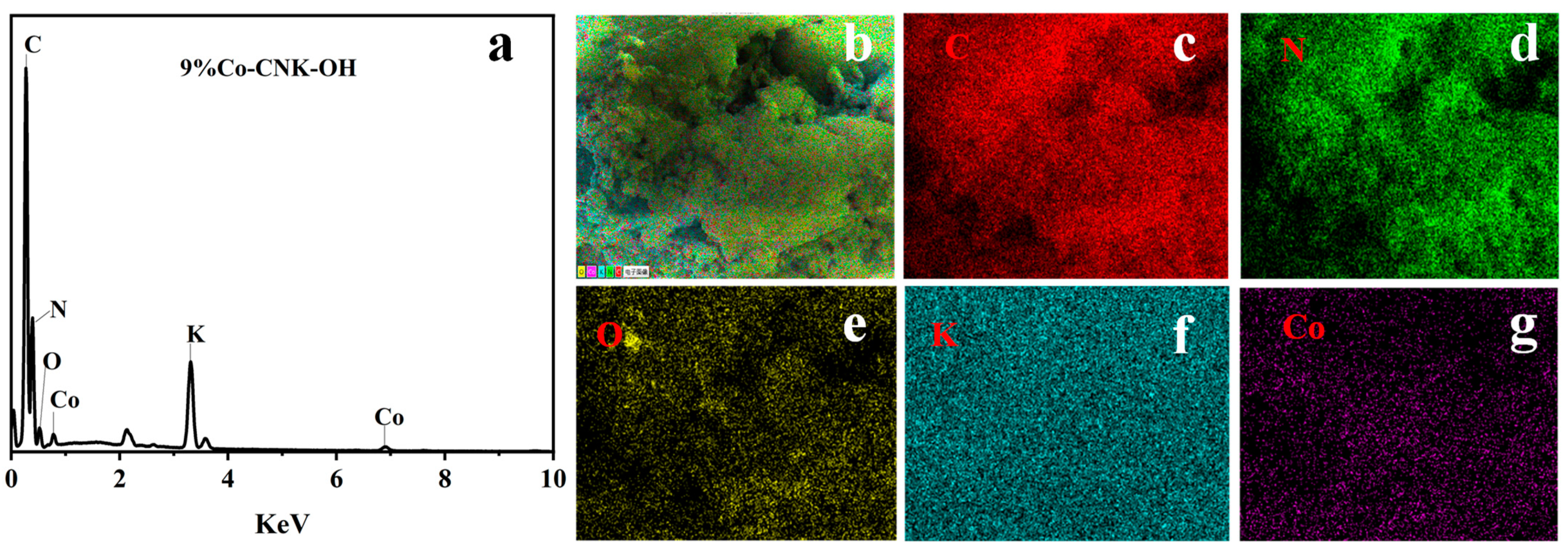 Catalysts 13 00715 g003
