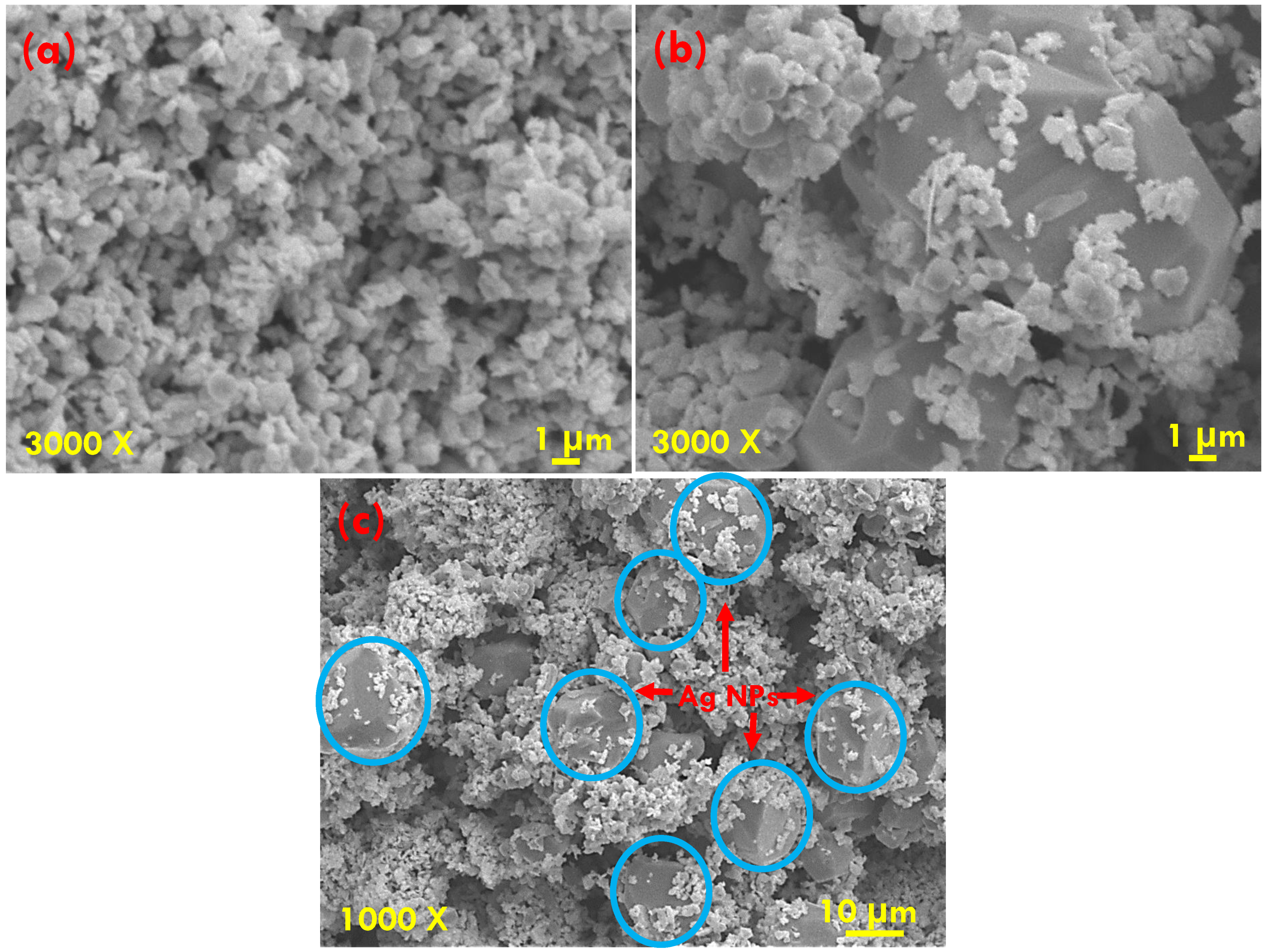 Catalysts 13 00716 g004 Catalysts 13 00716 g004