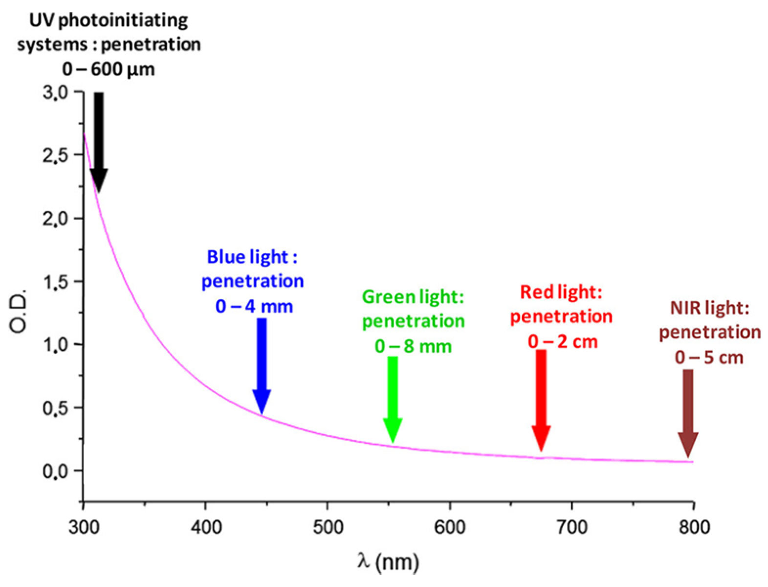Catalysts 13 00718 g001