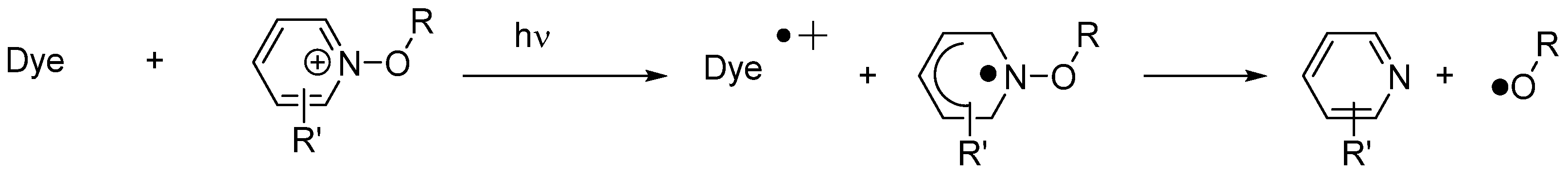 Catalysts 13 00718 sch003