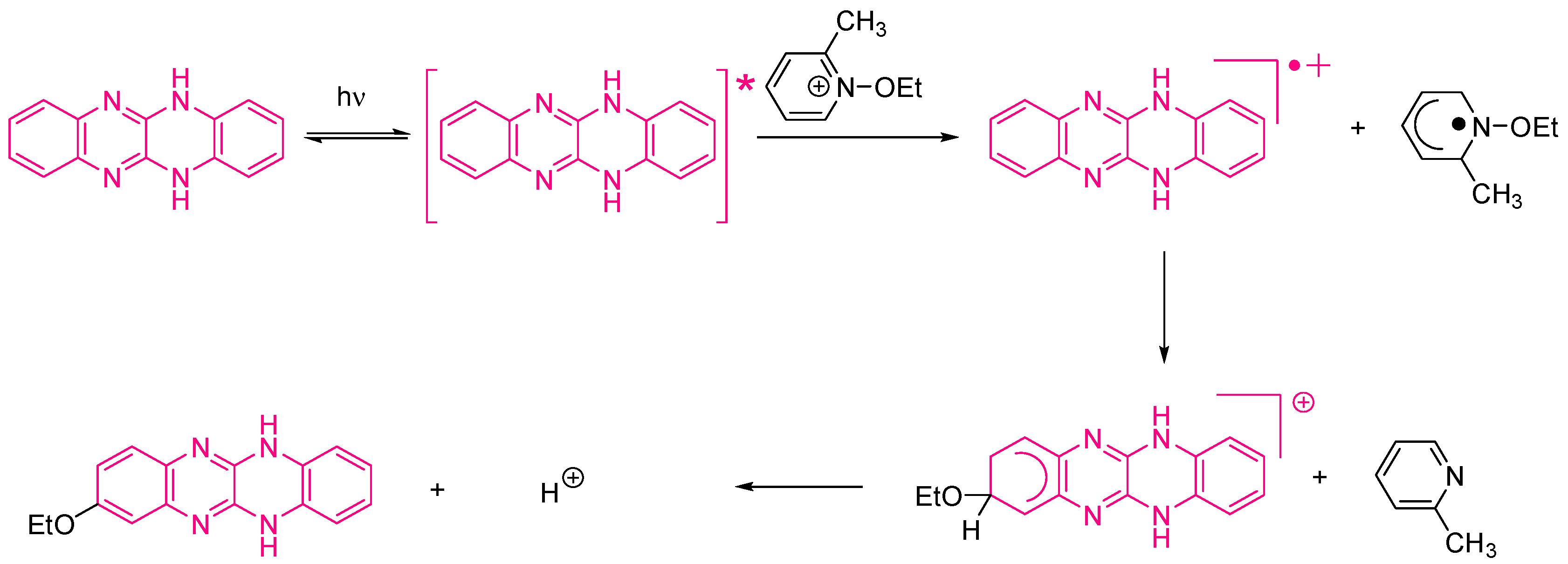 Catalysts 13 00718 sch004