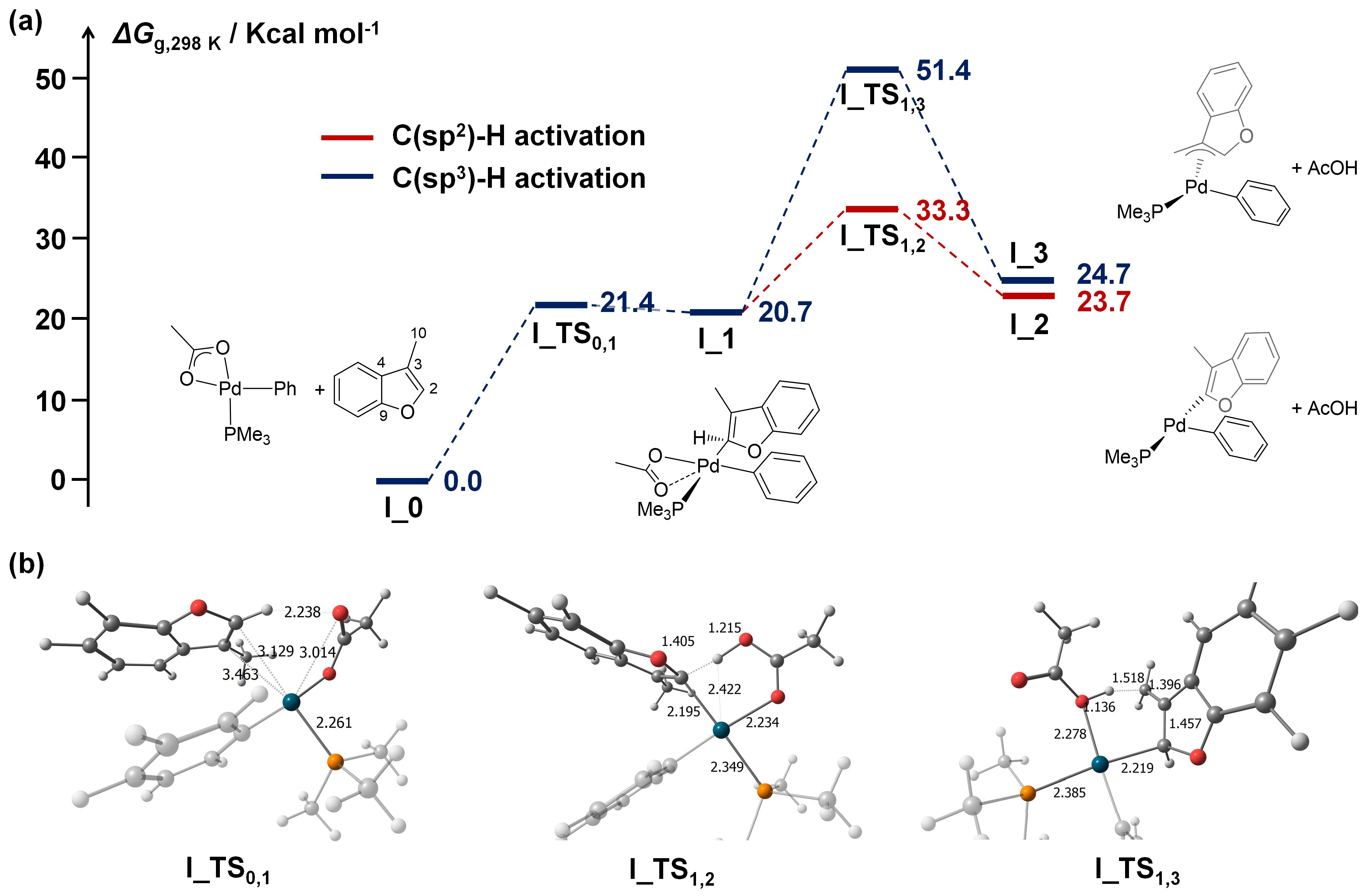 Catalysts 13 00724 g001