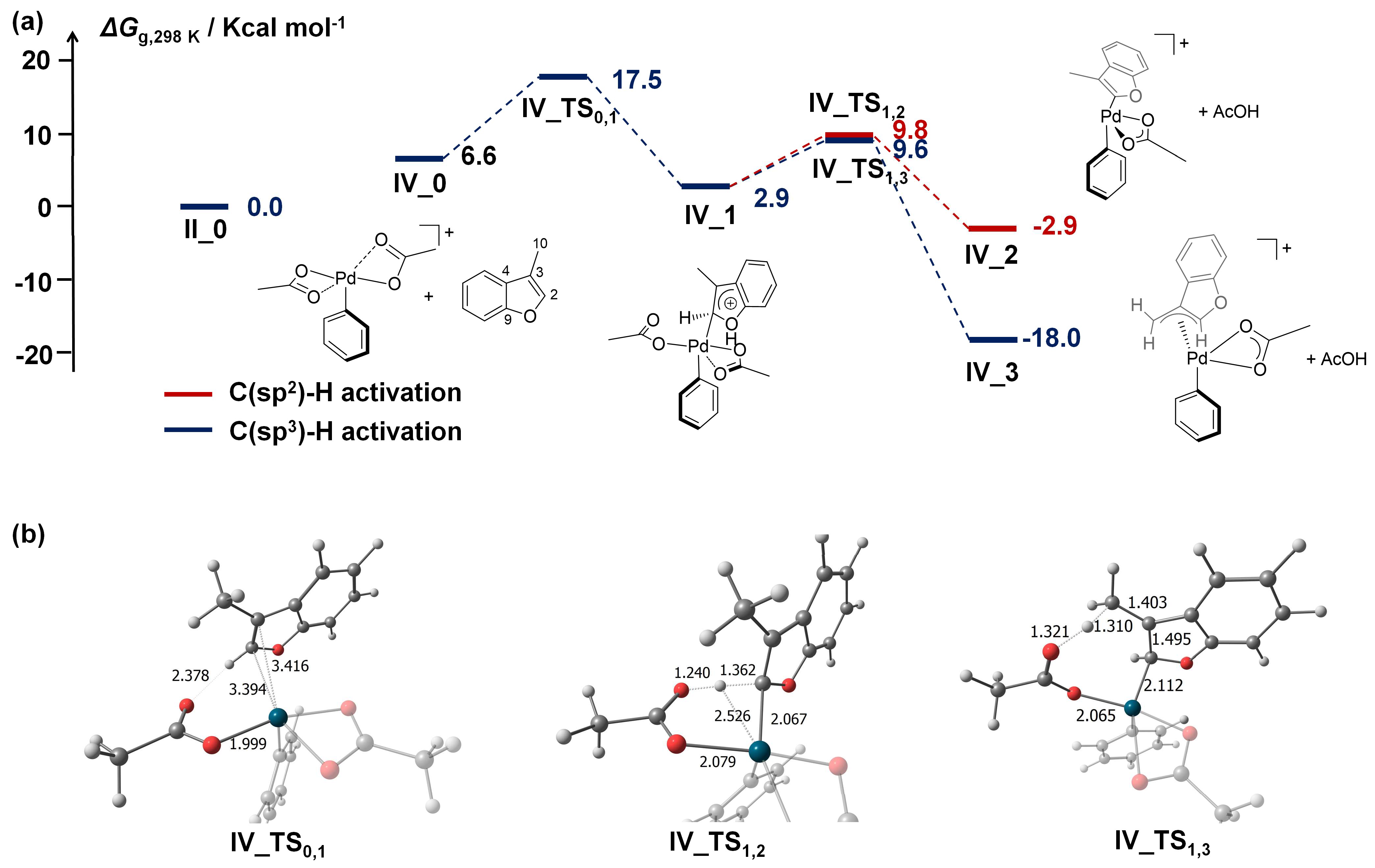 Catalysts 13 00724 g005