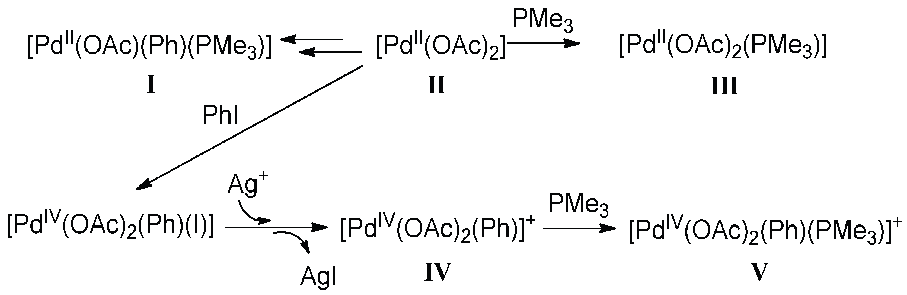 Catalysts 13 00724 sch002