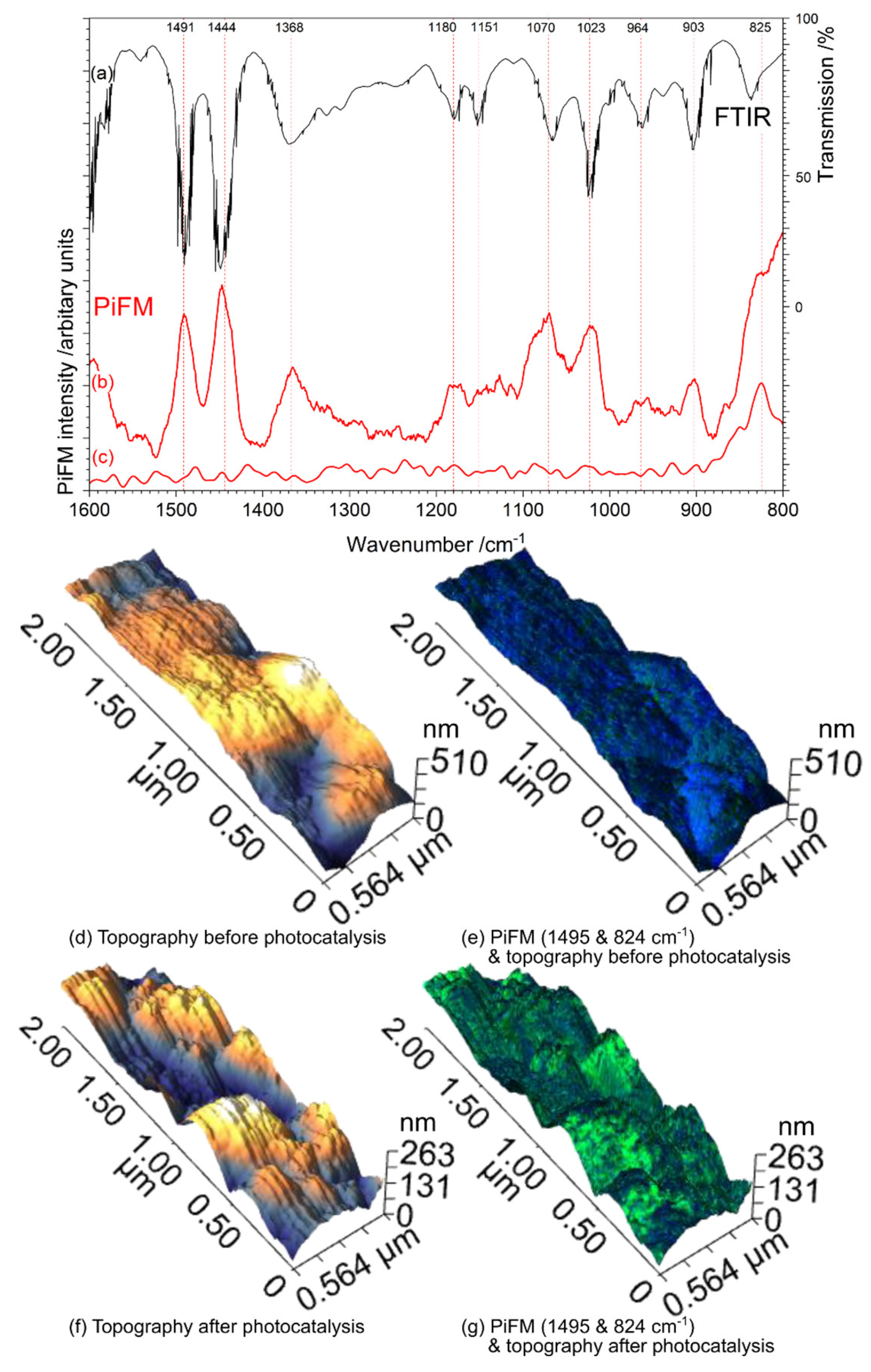 Catalysts 13 00725 g005 Catalysts 13 00725 g005
